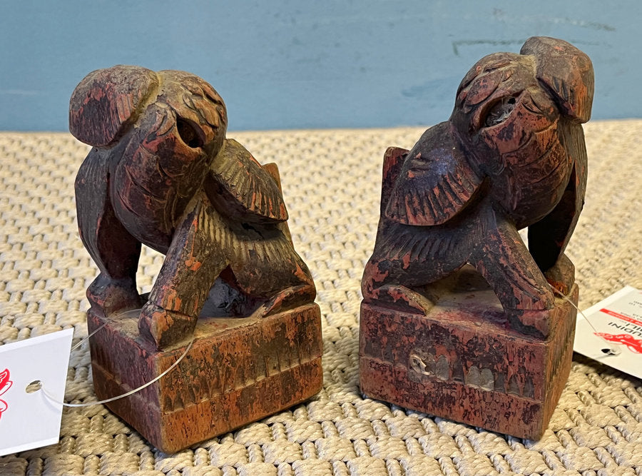 LEONCANI LIGNEI MGNON