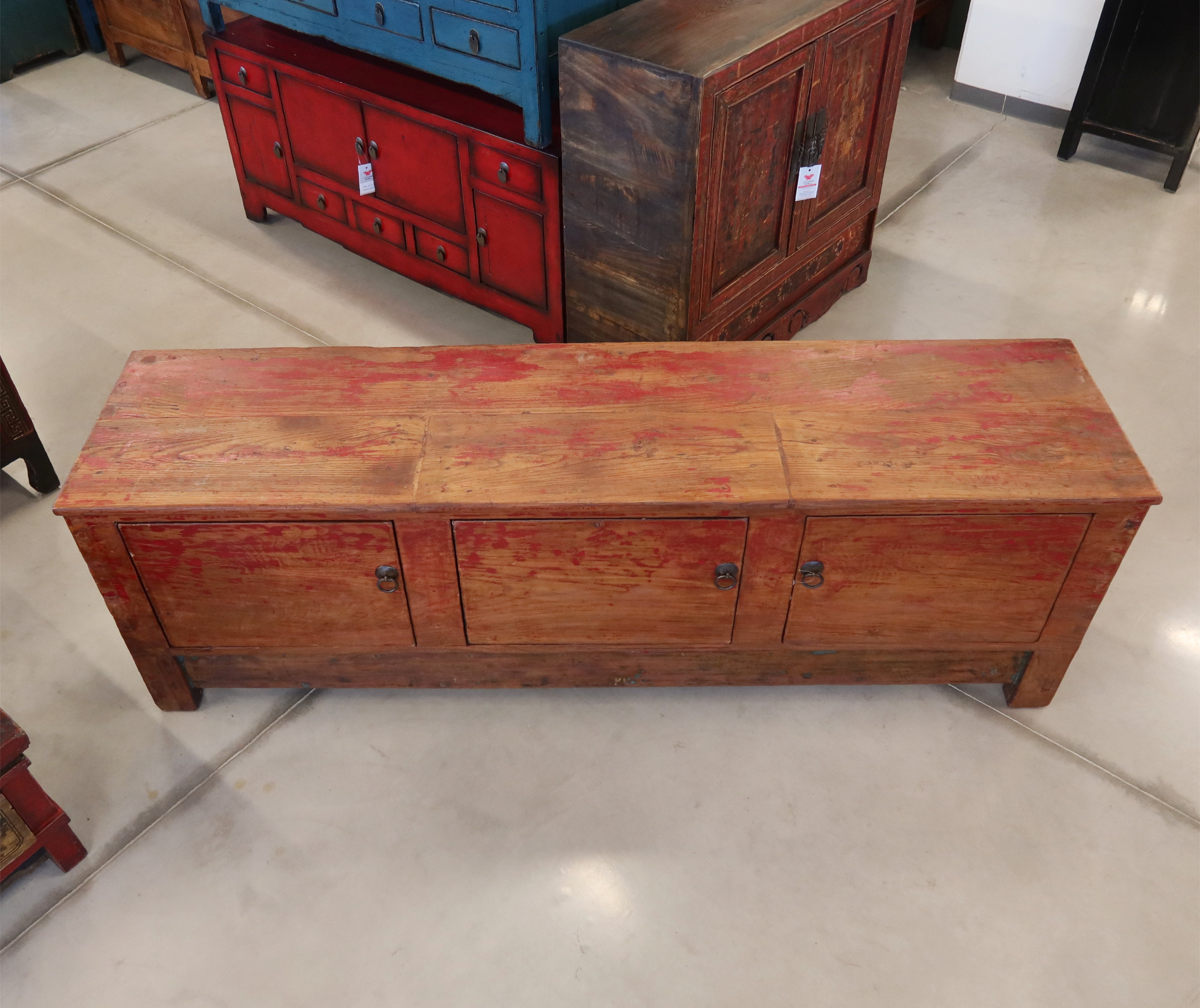 CASSAPANCA CINESE DEL QINGHAI