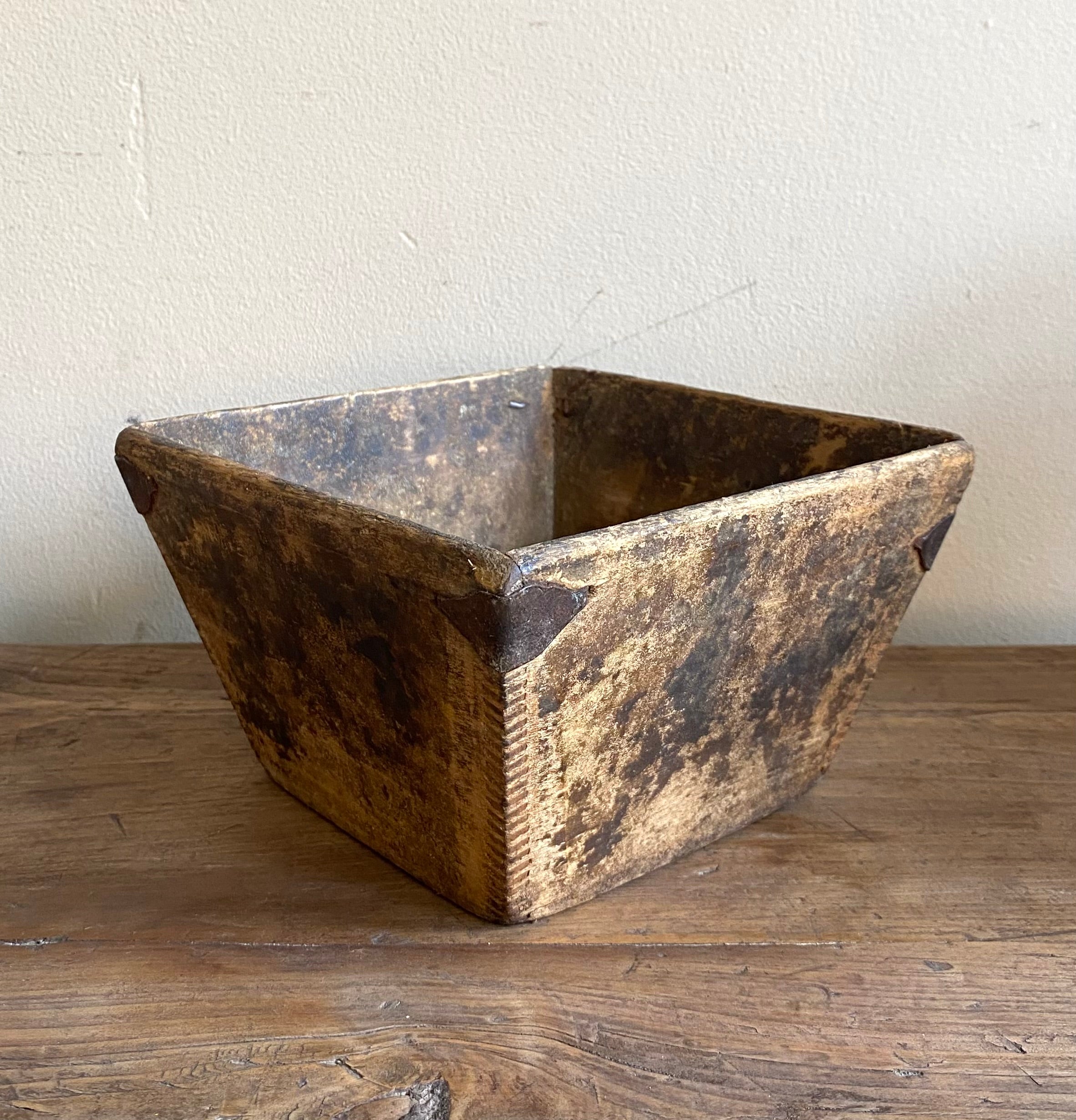 MISURARISO MIGNON OLMO CINESE