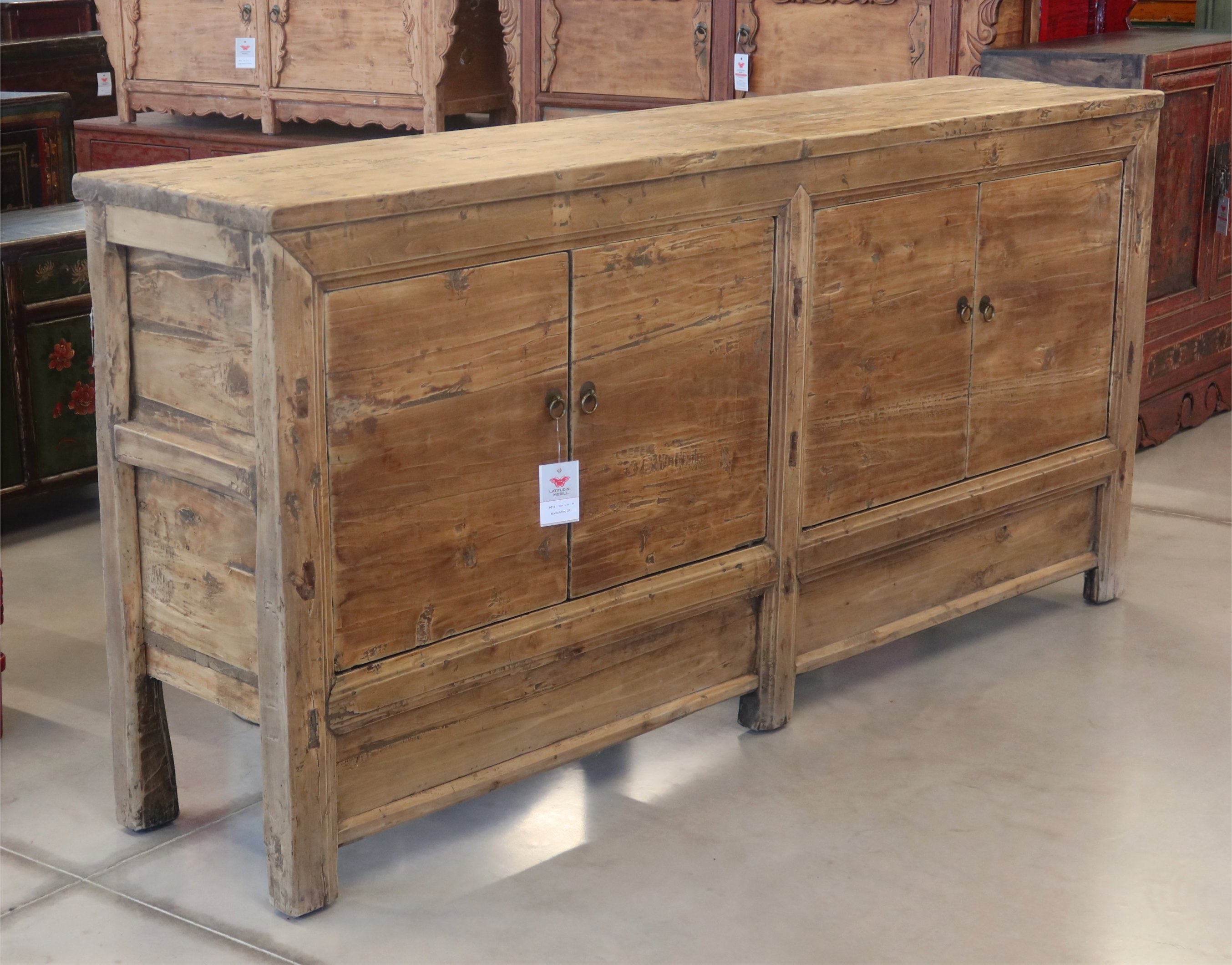 MADIA MONGOLIA OLMO BIONDO