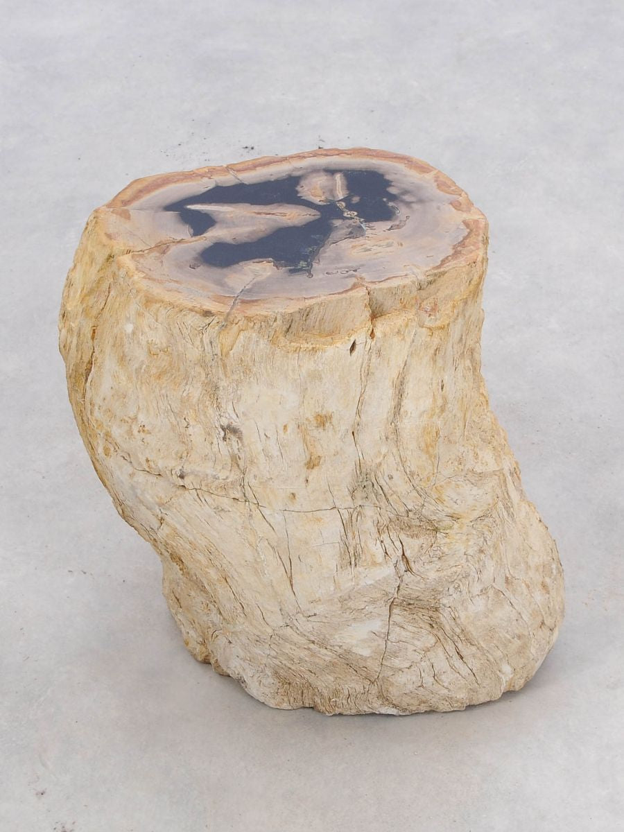 Tavolino tronco in legno pietrificato - 47008