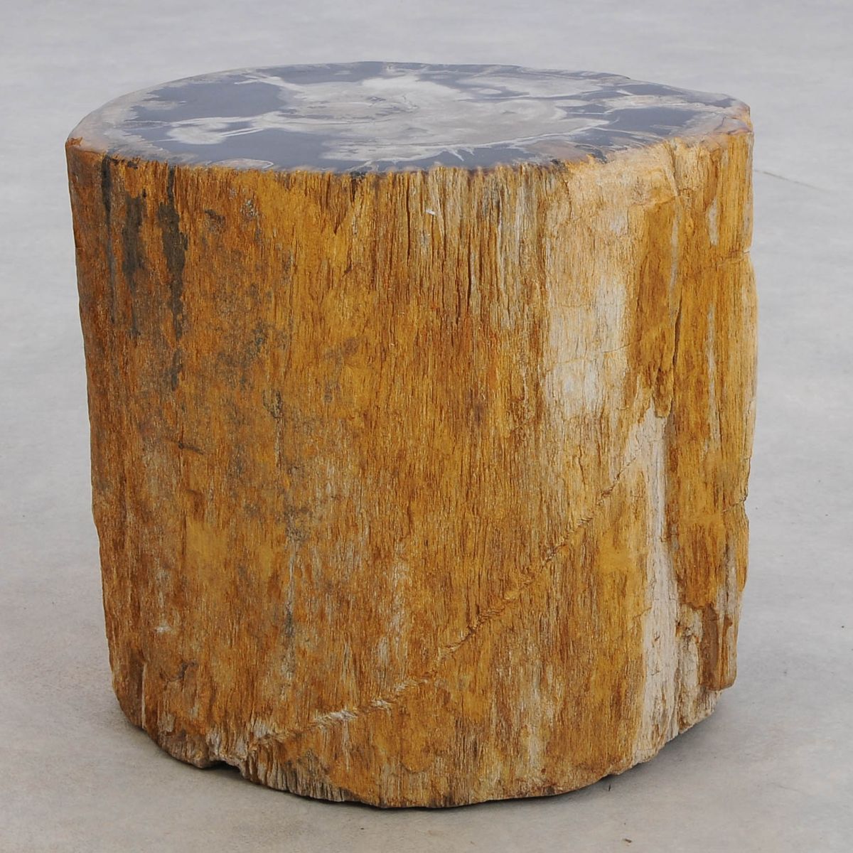 Tavolino tronco in legno pietrificato