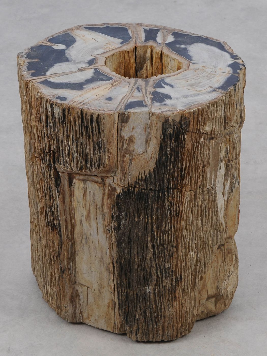 Tavolino tronco in legno pietrificato - 51325