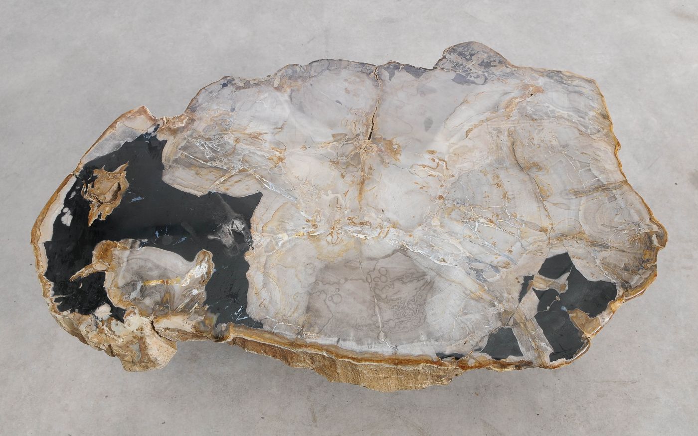 Tavolino in legno pietrificato