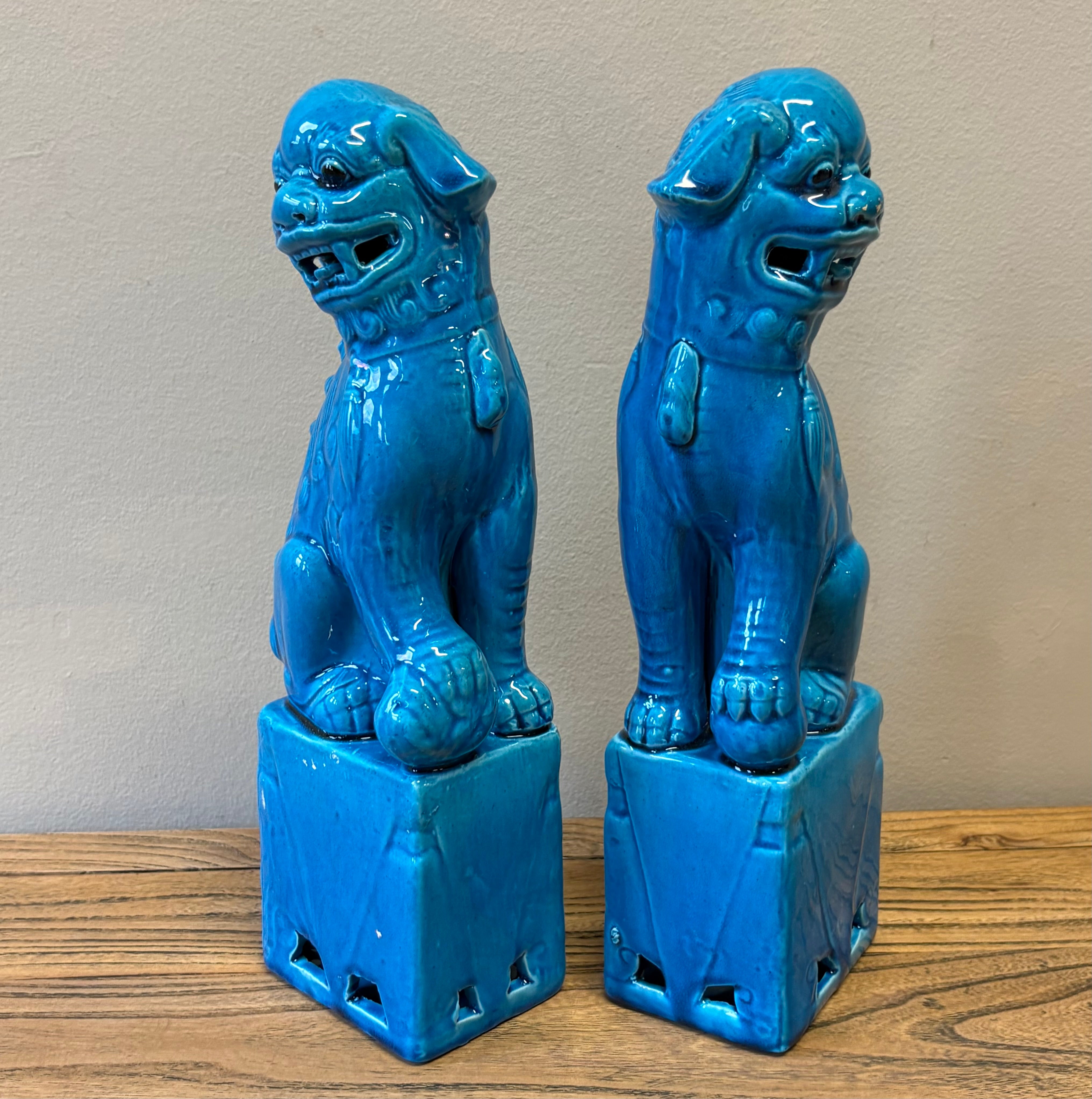 COPPIA LEONCANI IN CERAMICA