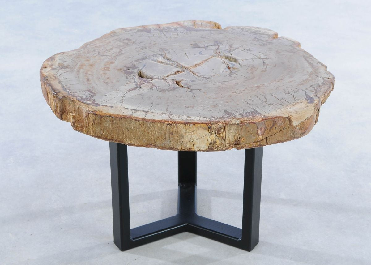 Lastra per tavolino in legno pietrificato - 44135