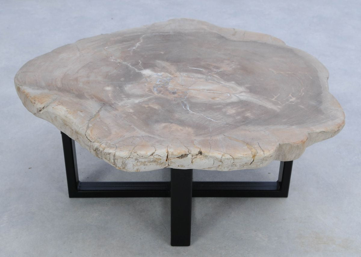 Lastra per tavolino in legno pietrificato - 45166