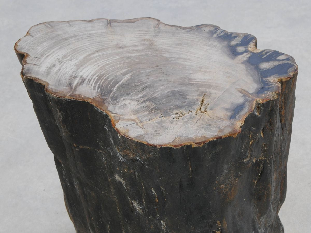 Tavolino tronco in legno pietrificato - 47039