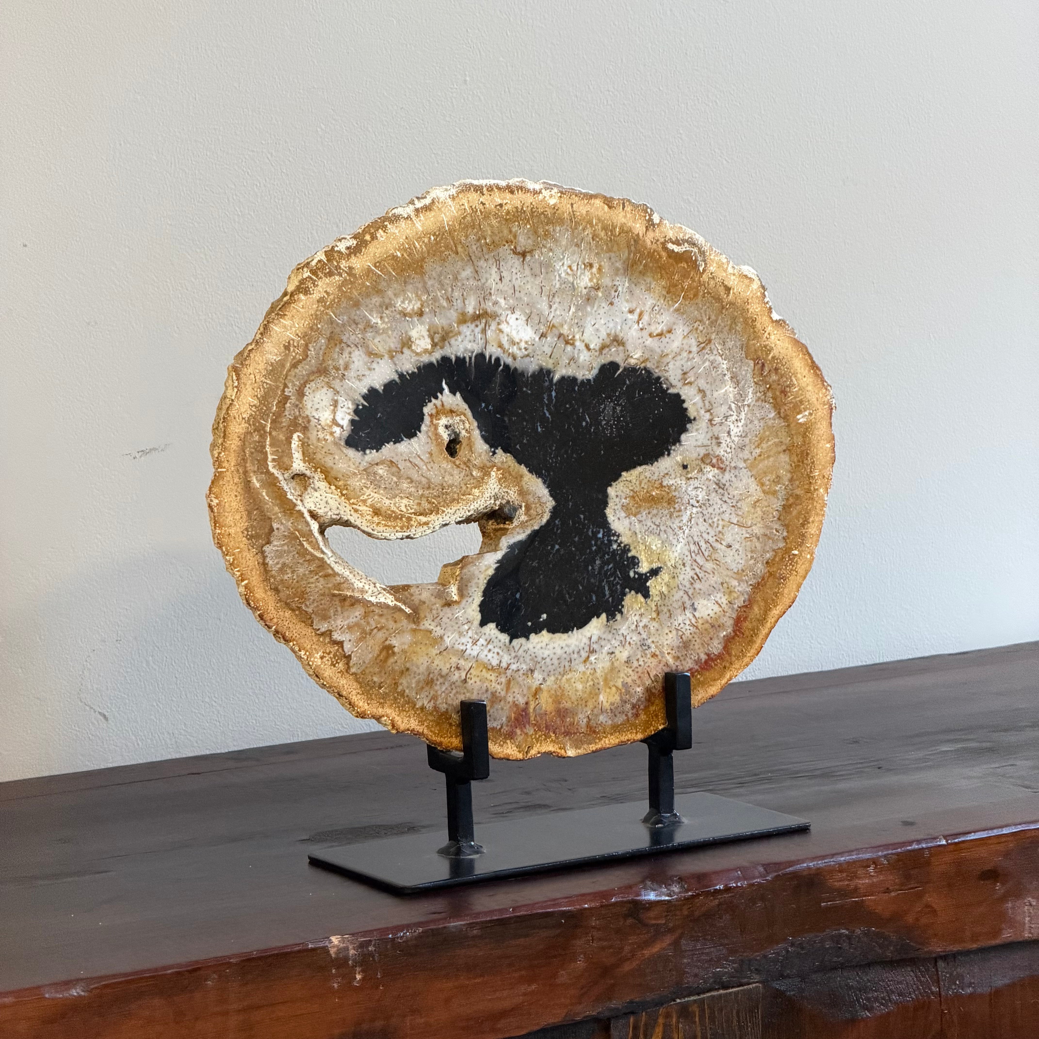 Lastra per tavolino o oggetto decorativo in legno pietrificato - 48336