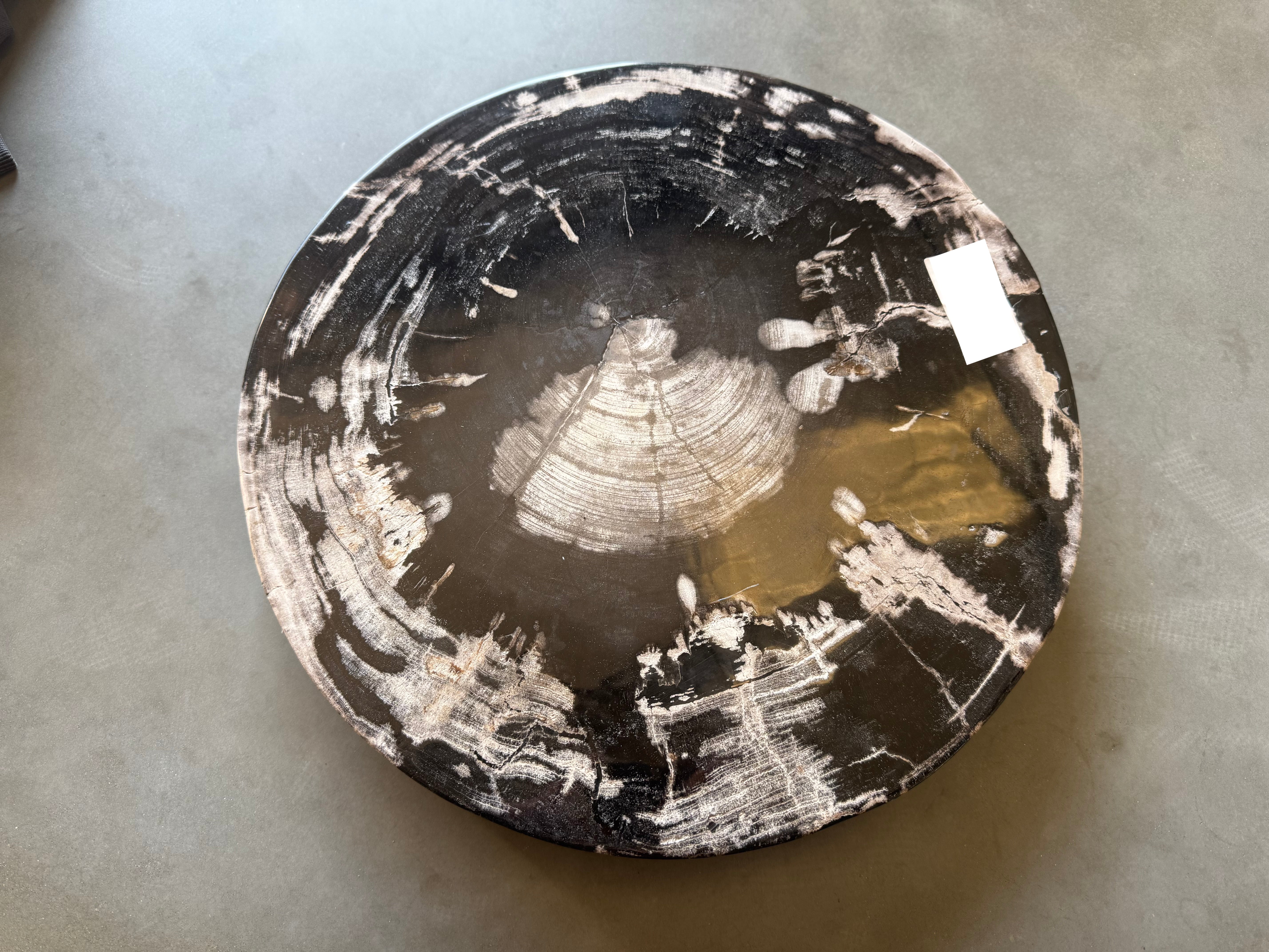 Lastra per tavolino o oggetto decorativo in legno pietrificato - 49349