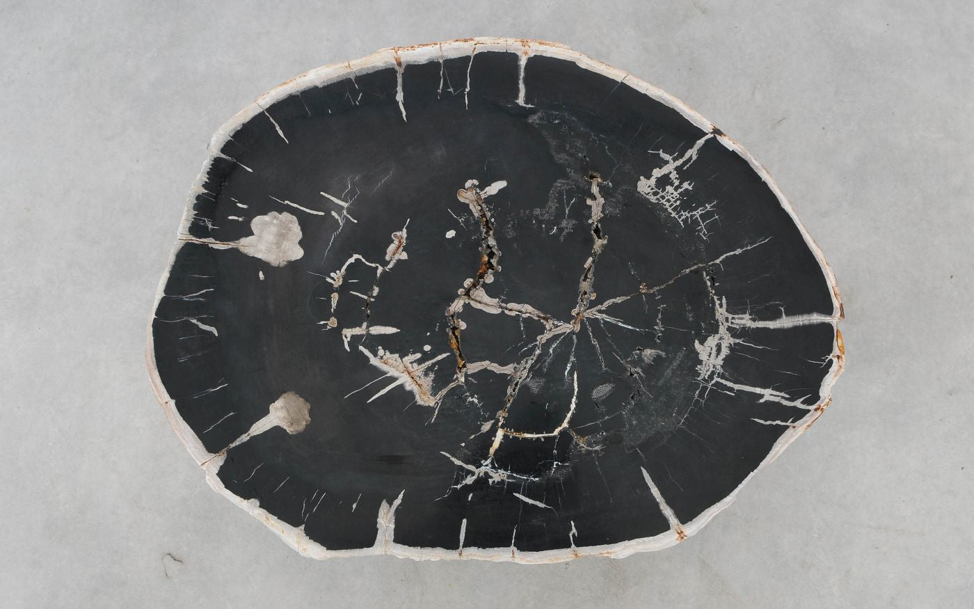 Lastra per tavolino in legno pietrificato - 52285