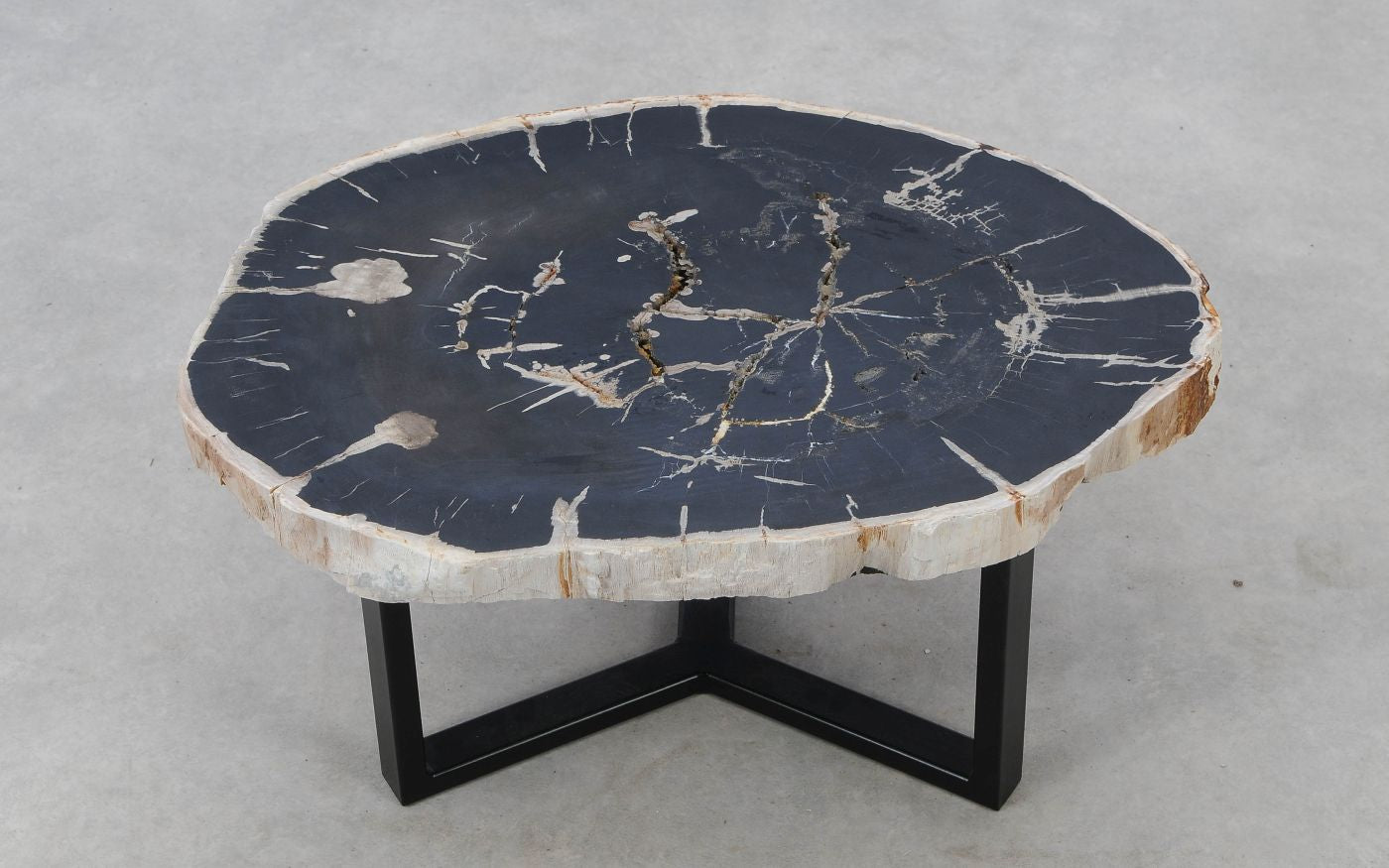 Lastra per tavolino in legno pietrificato - 52285