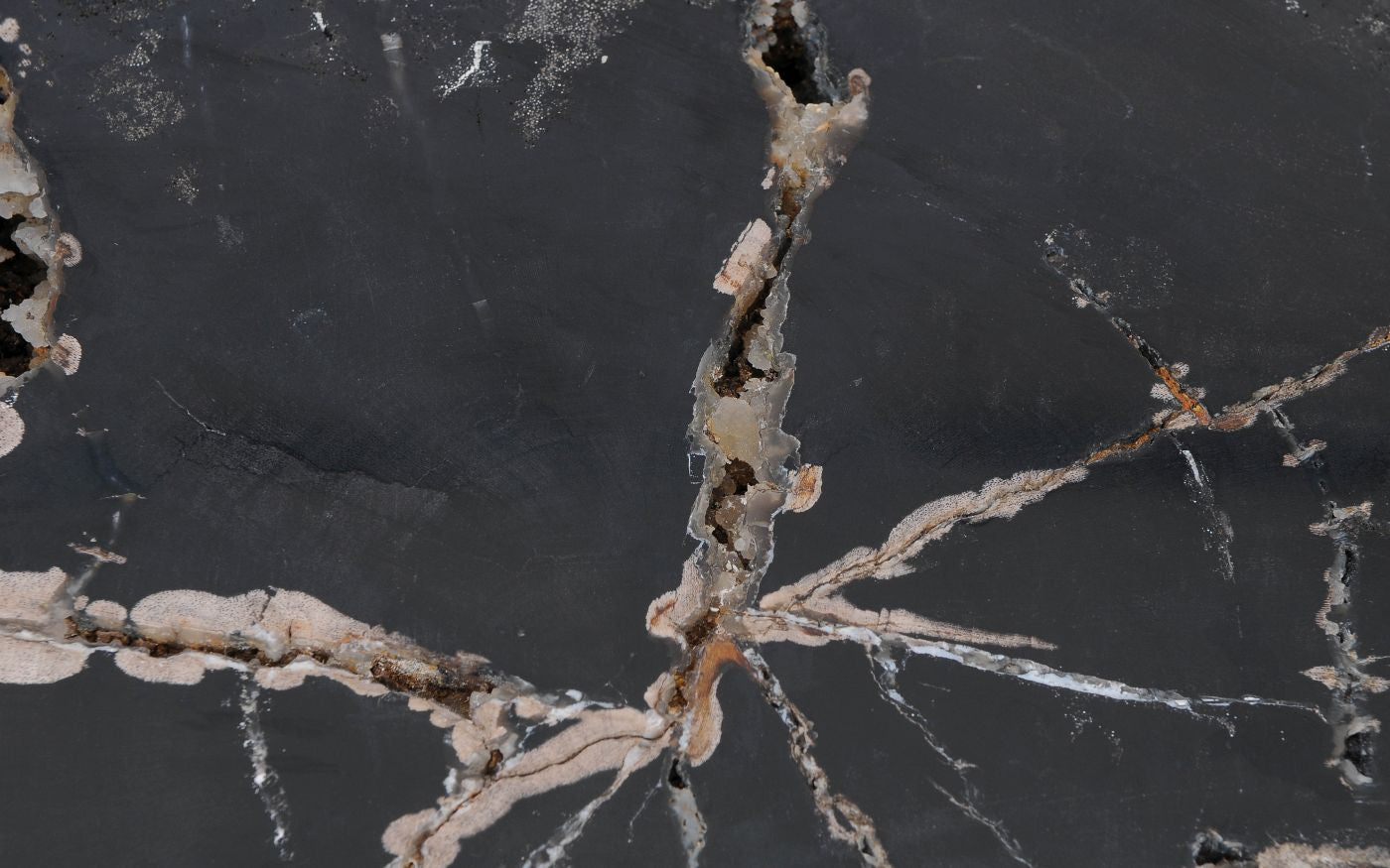 Lastra per tavolino in legno pietrificato - 52285