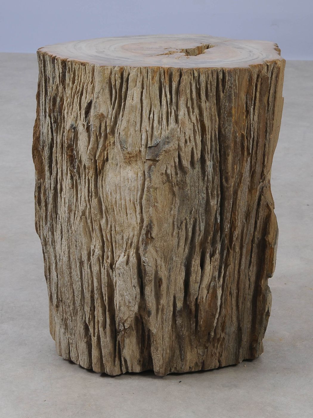Tavolino tronco in legno pietrificato - 53022