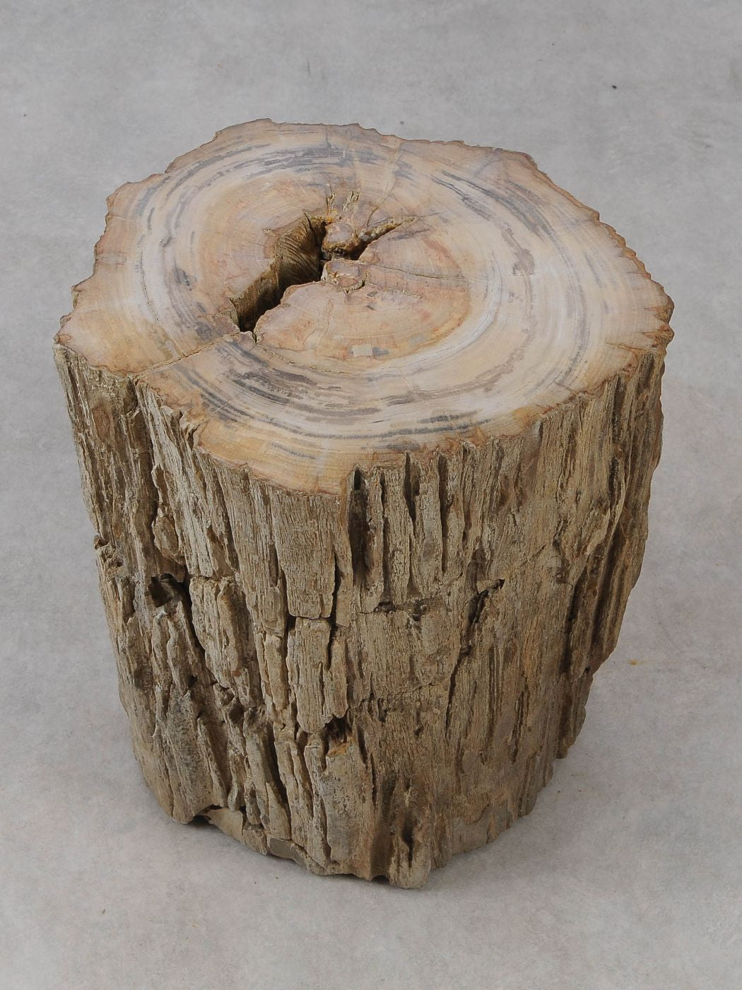 Tavolino tronco in legno pietrificato - 53022