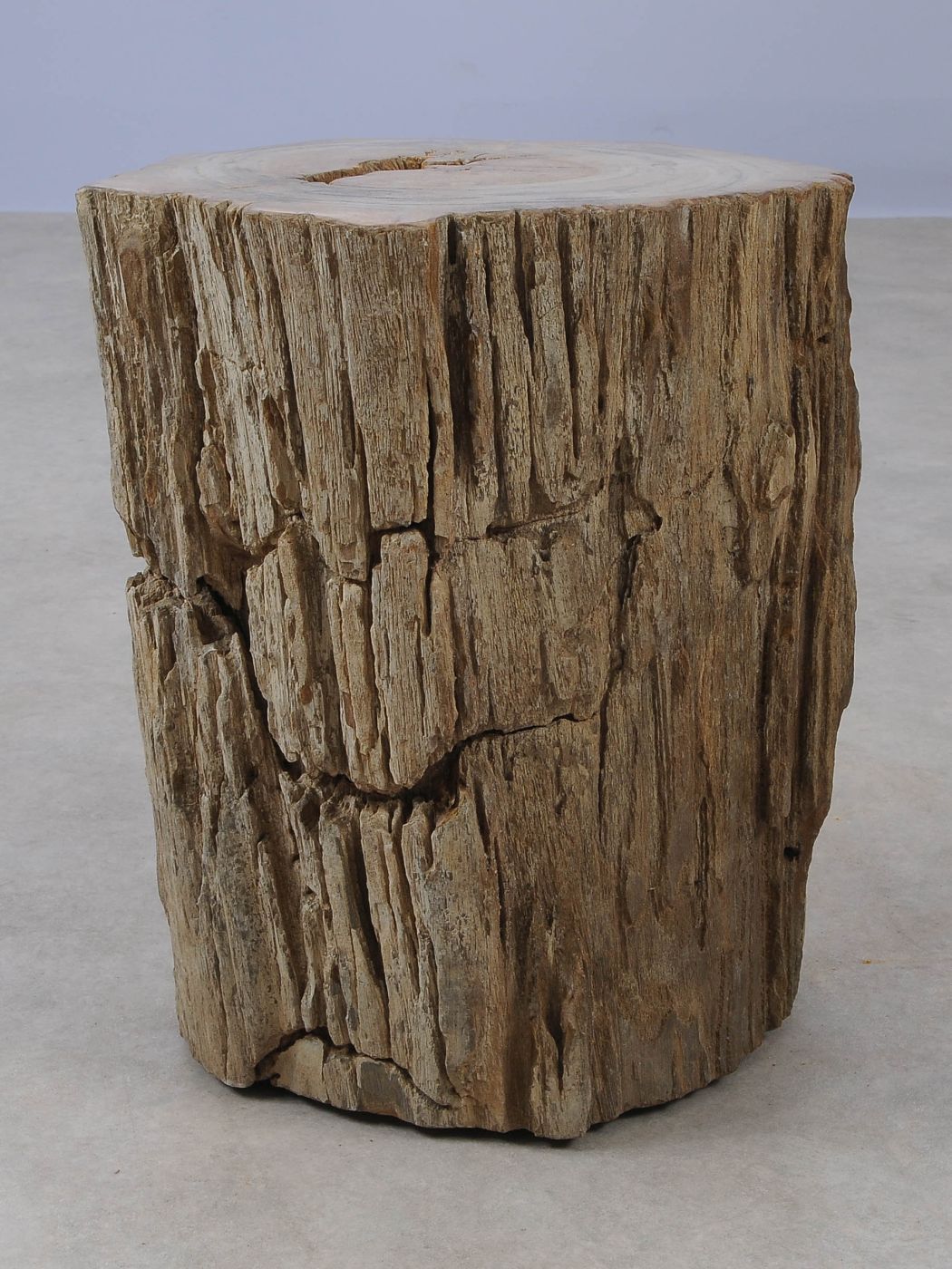 Tavolino tronco in legno pietrificato - 53022