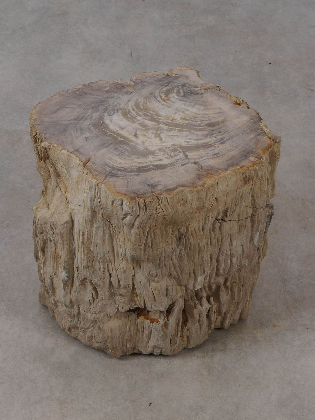 Tavolino tronco in legno pietrificato - 53024