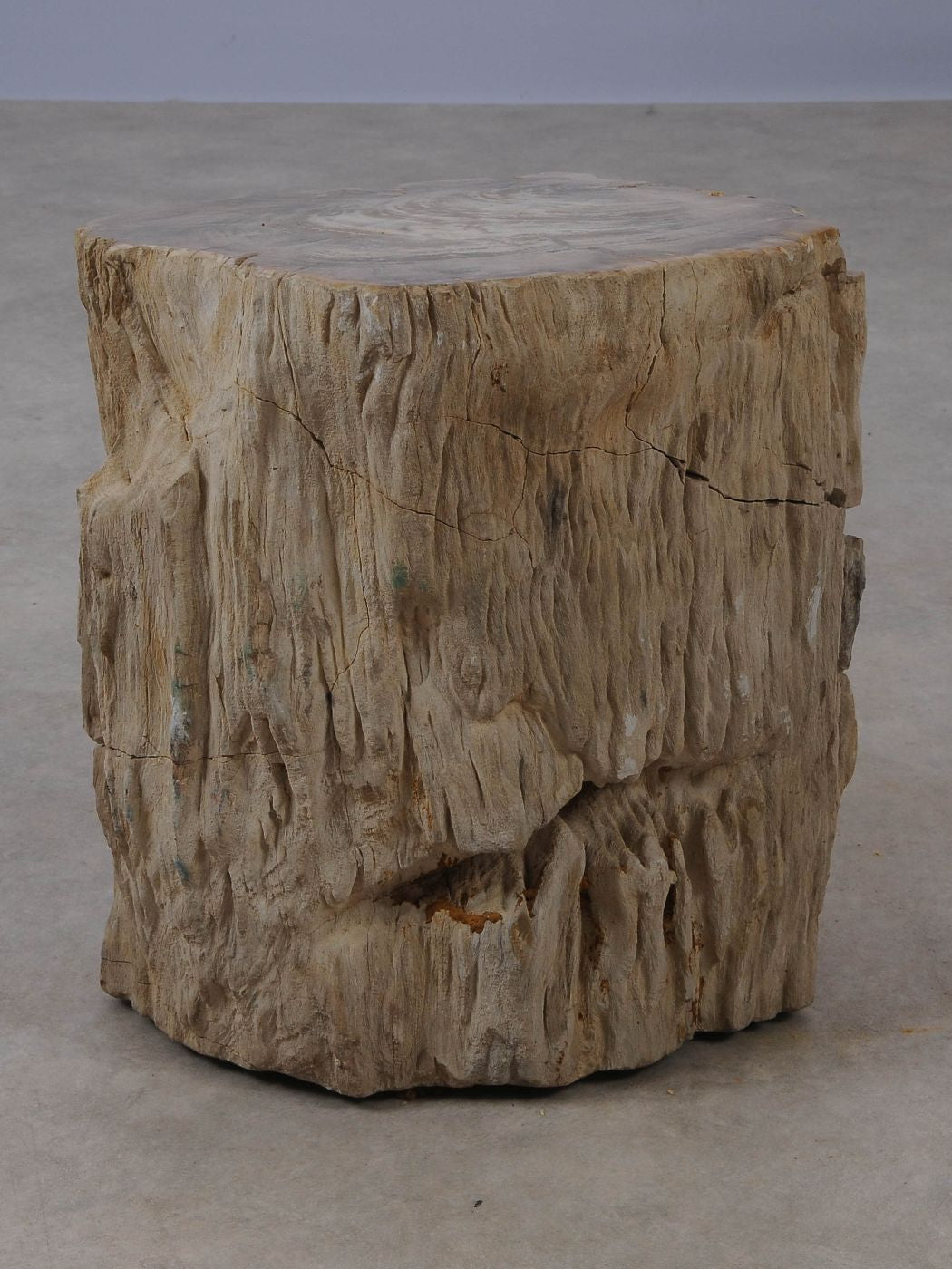 Tavolino tronco in legno pietrificato - 53024
