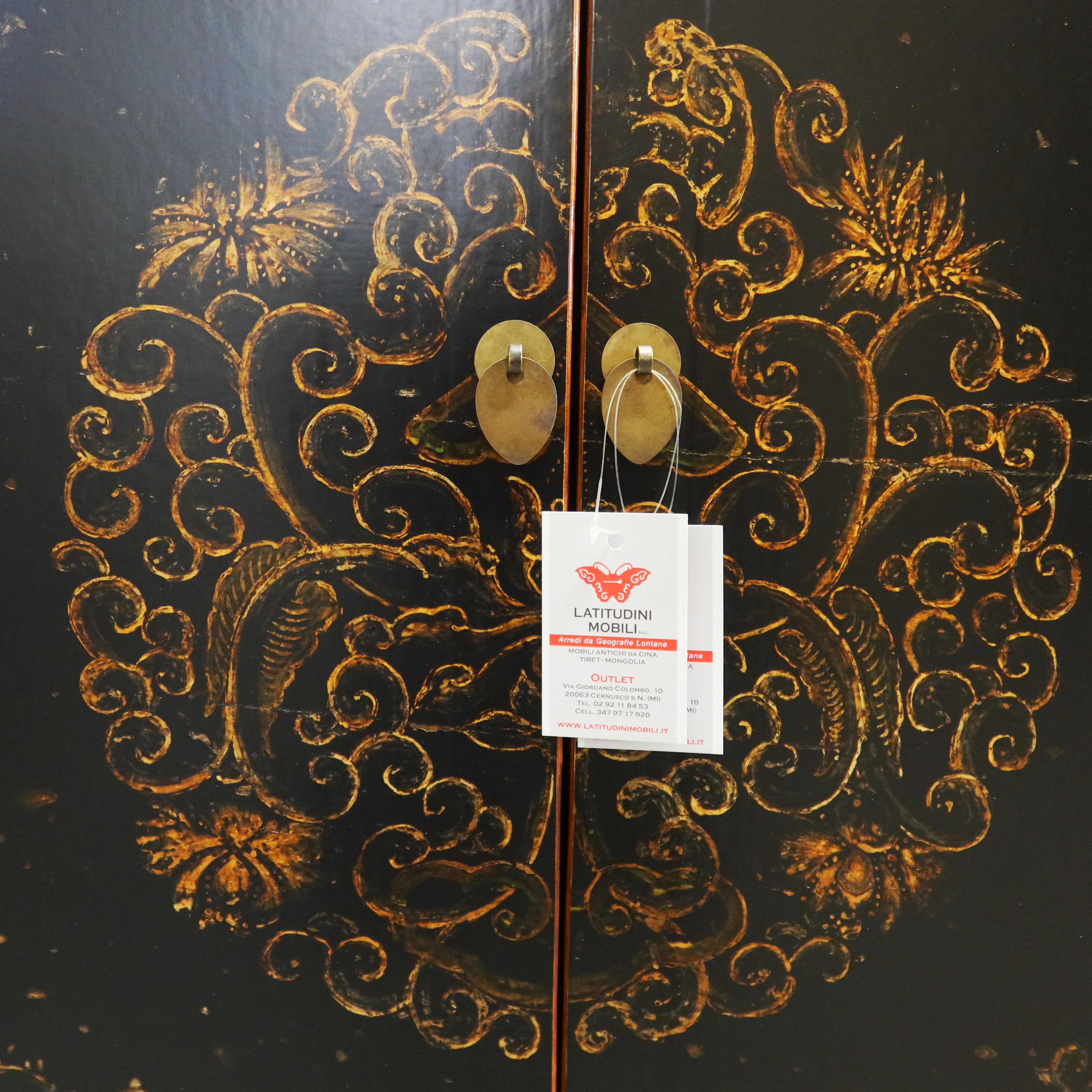 MADIA MONGOLIA DECORATA