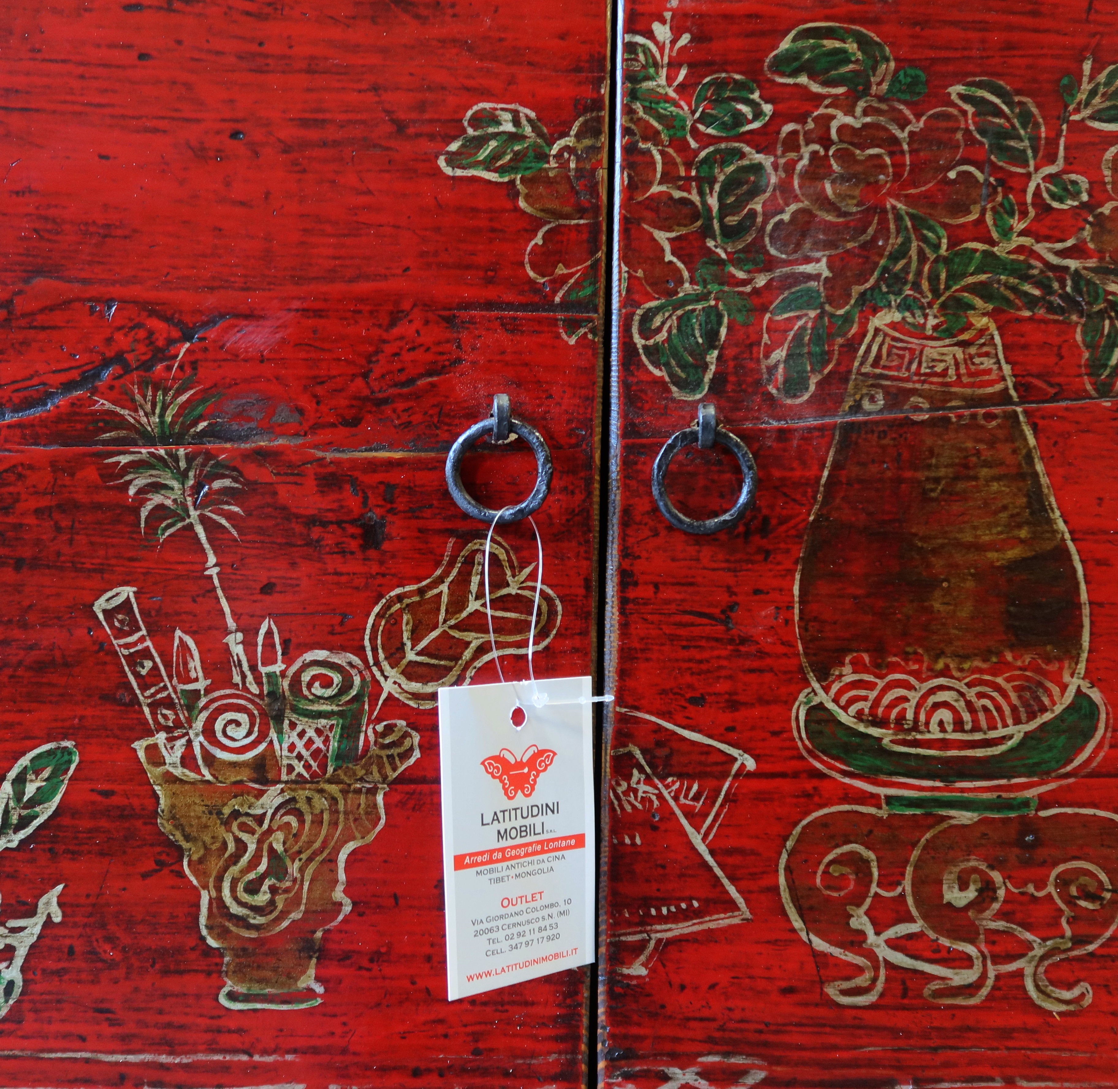 MADIA MONGOLIA DECORATA