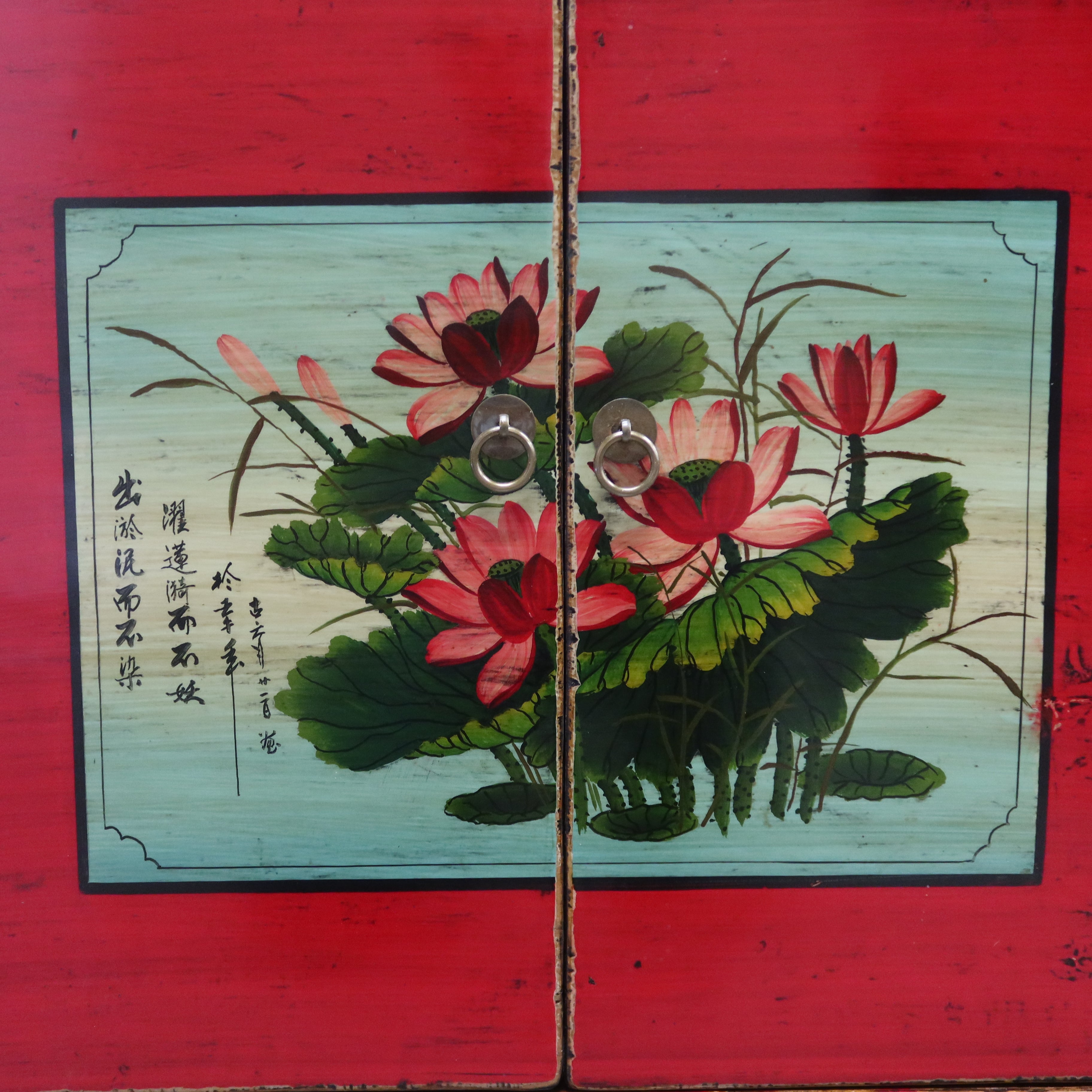 MADIA MONGOLIA DECORATA