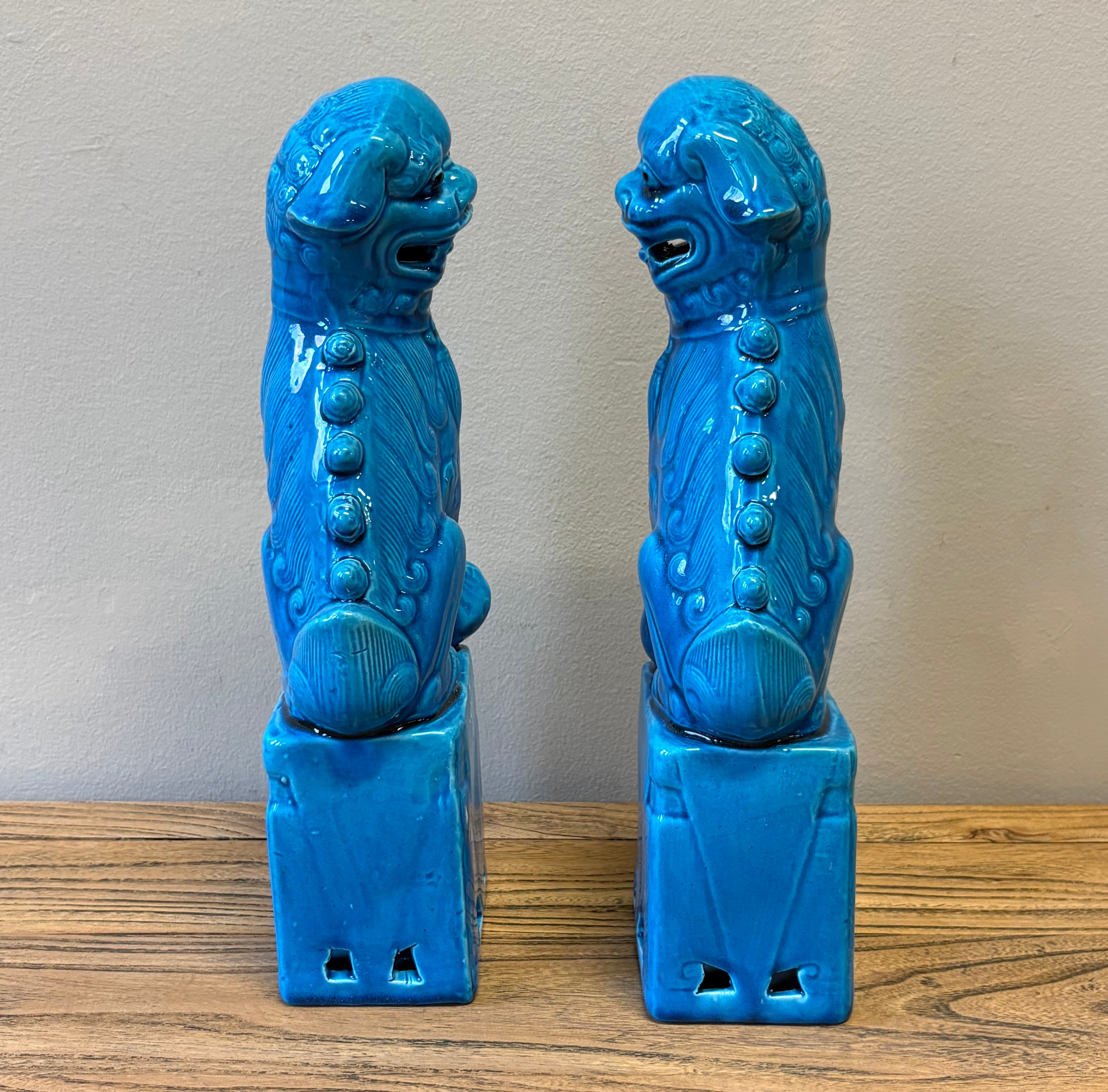 COPPIA LEONCANI IN CERAMICA