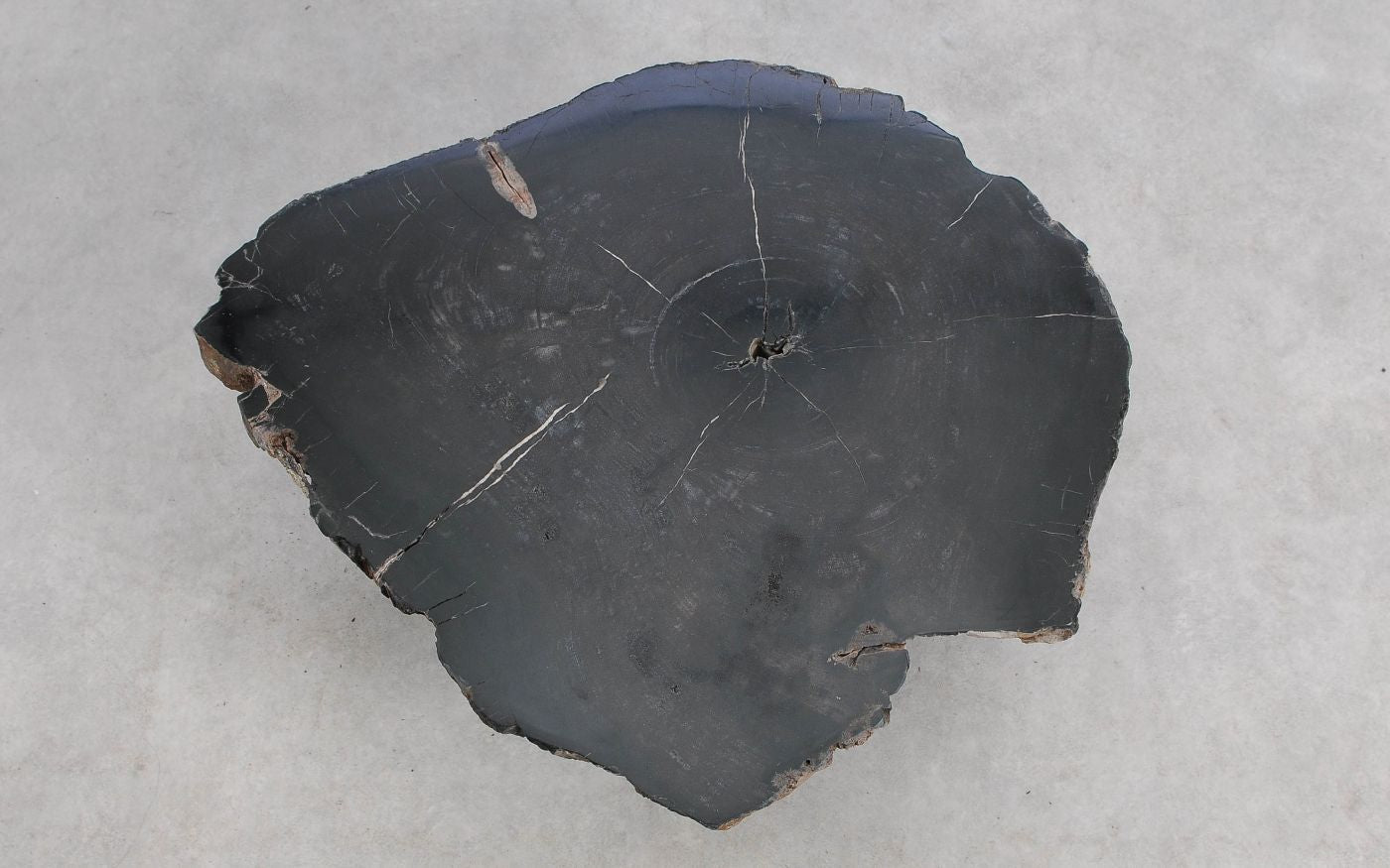 Lastra per tavolino in legno pietrificato - 59295