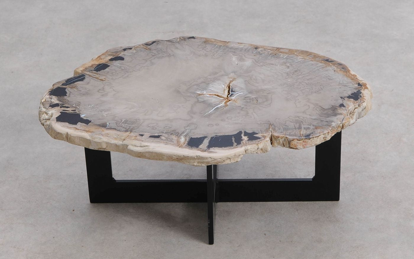 Lastra per tavolino in legno pietrificato - 59325