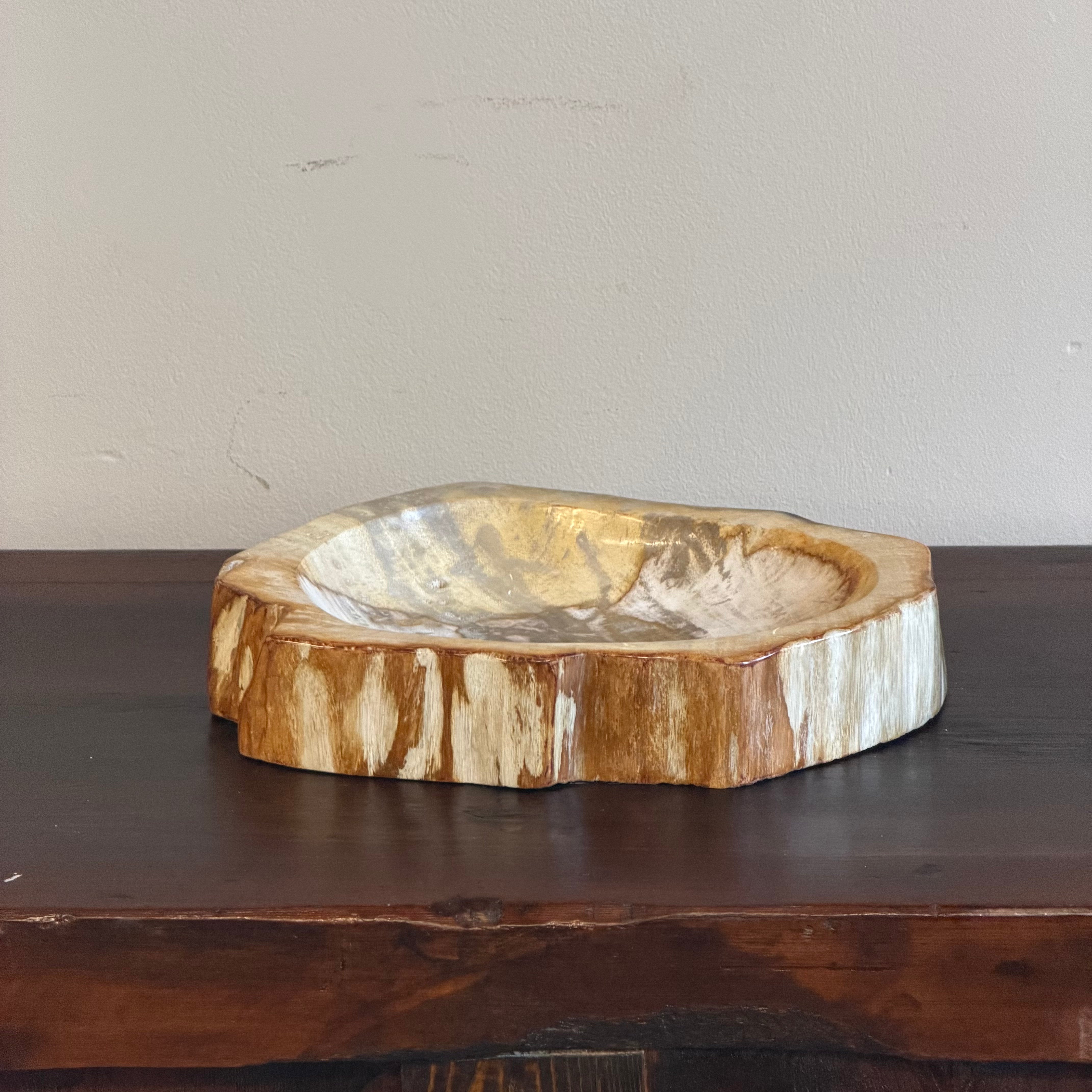 Piatto in legno pietrificato - 60374 M