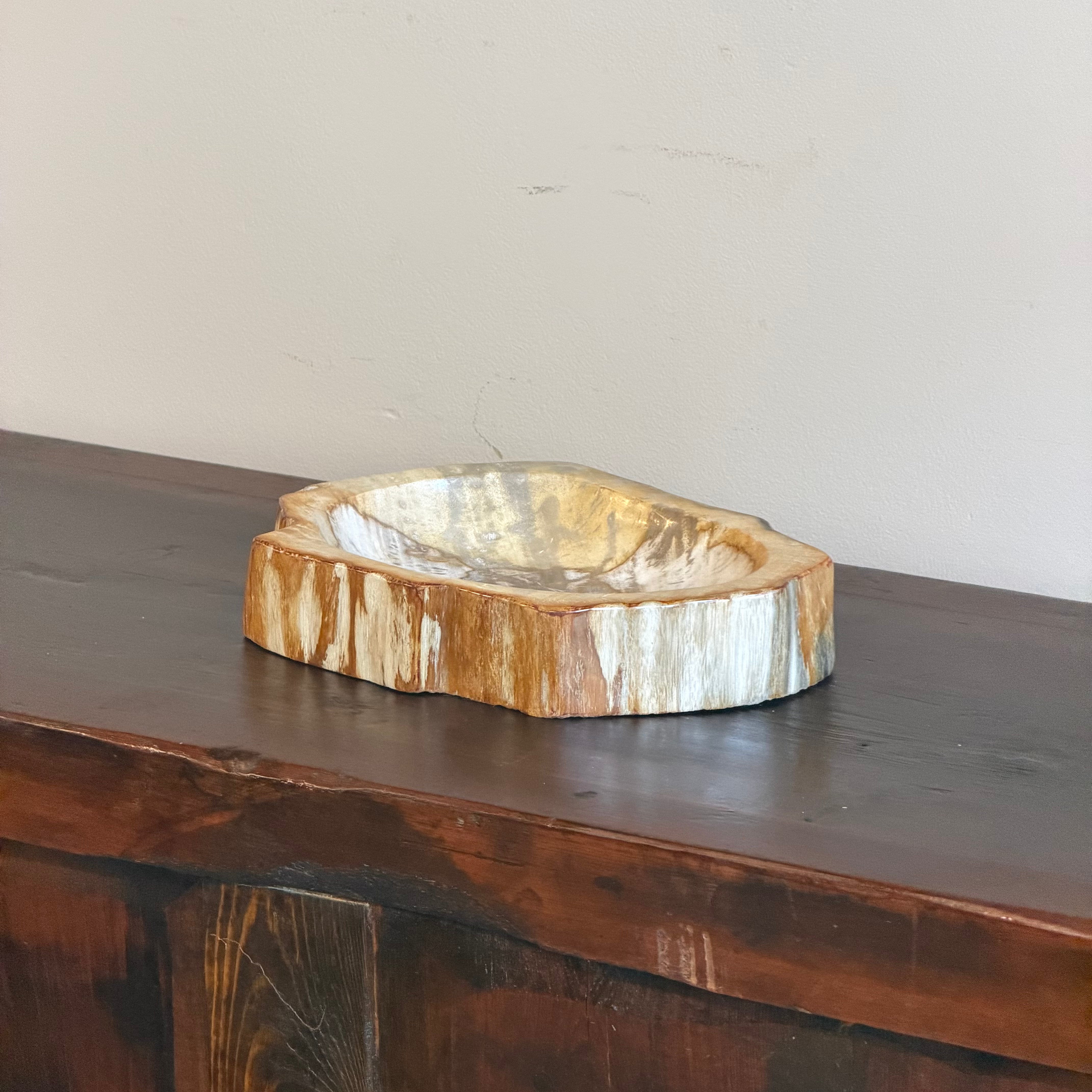 Piatto in legno pietrificato - 60374 M