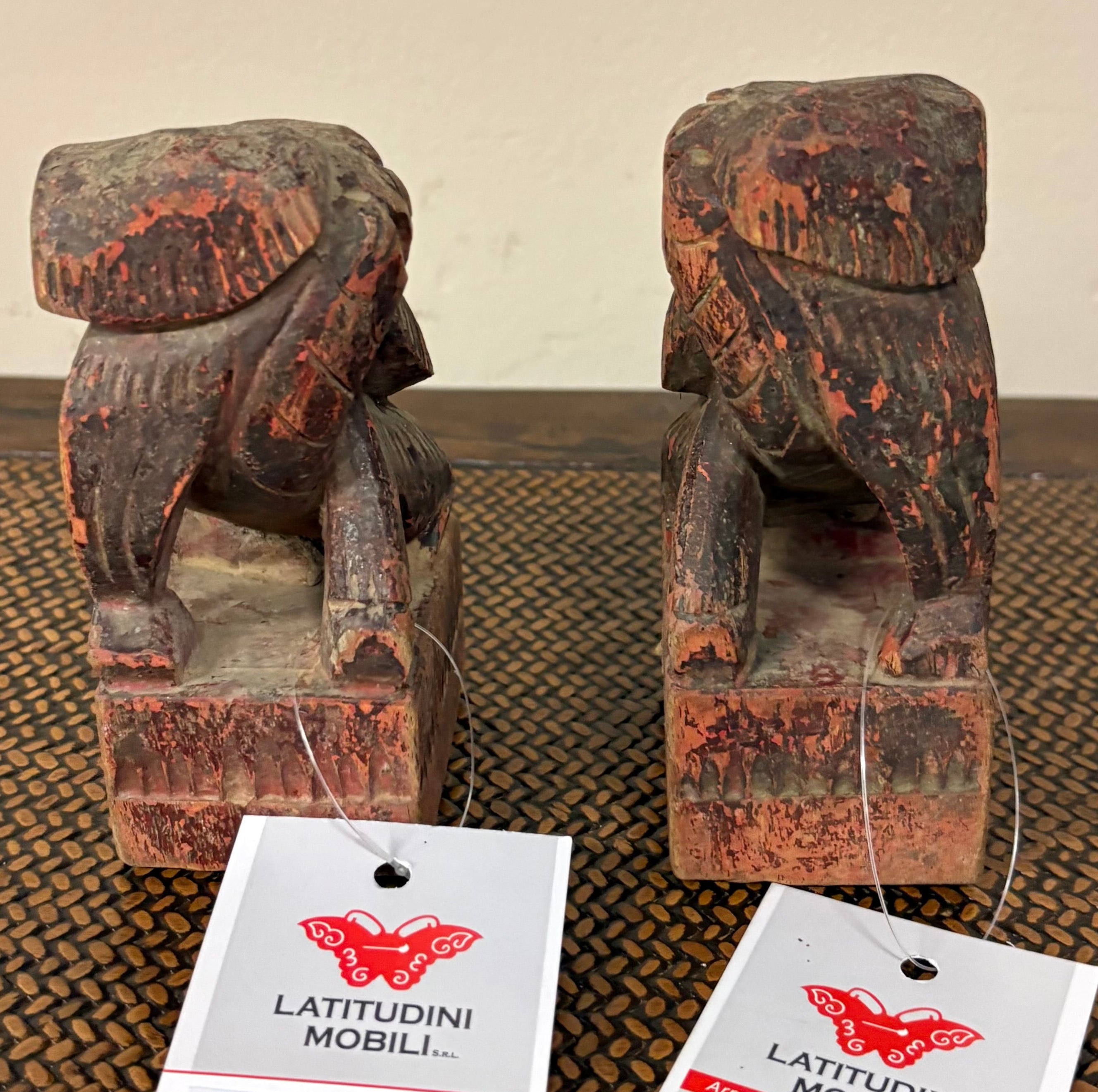 LEONCANI LIGNEI MGNON