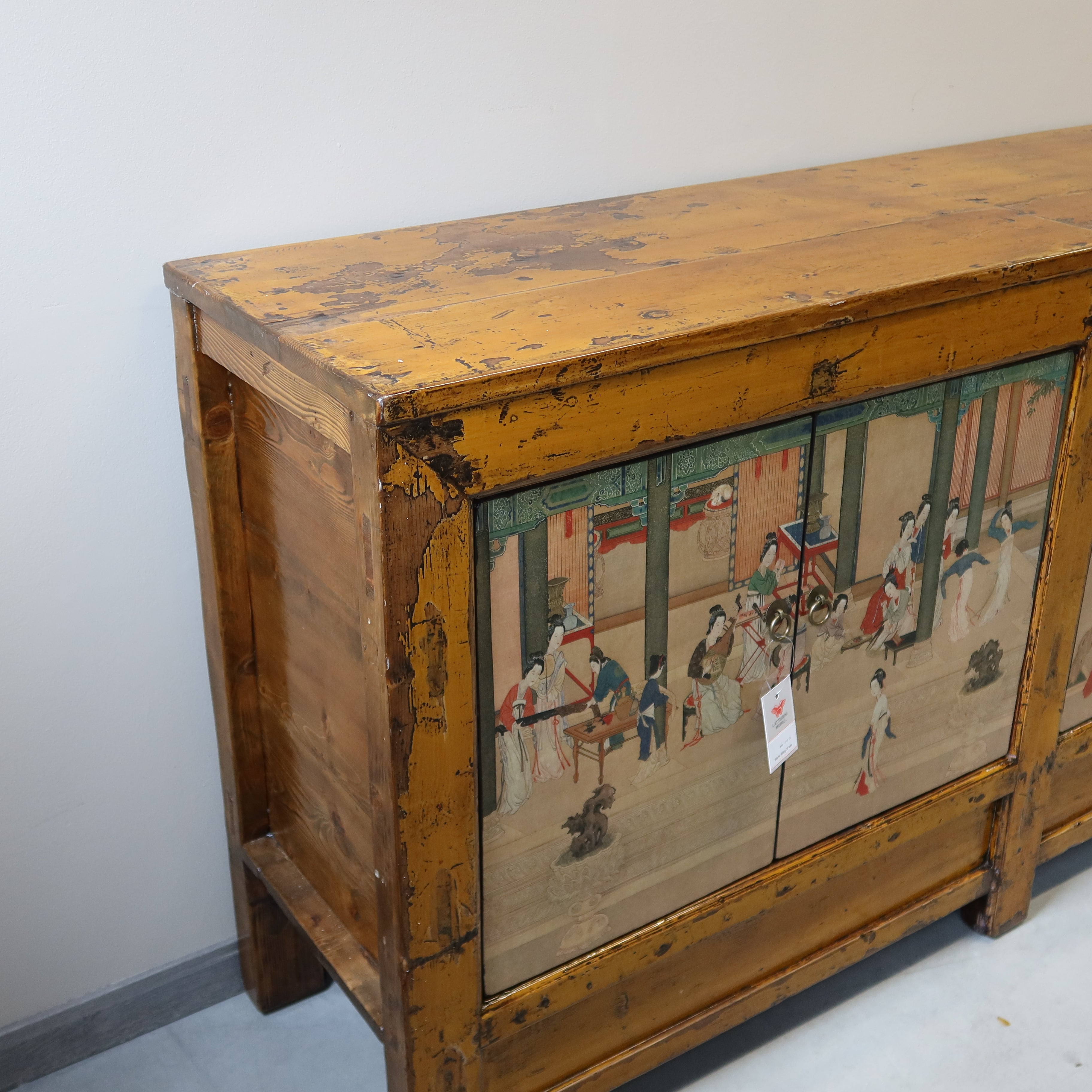 GRANDE MADIA MONGOLA