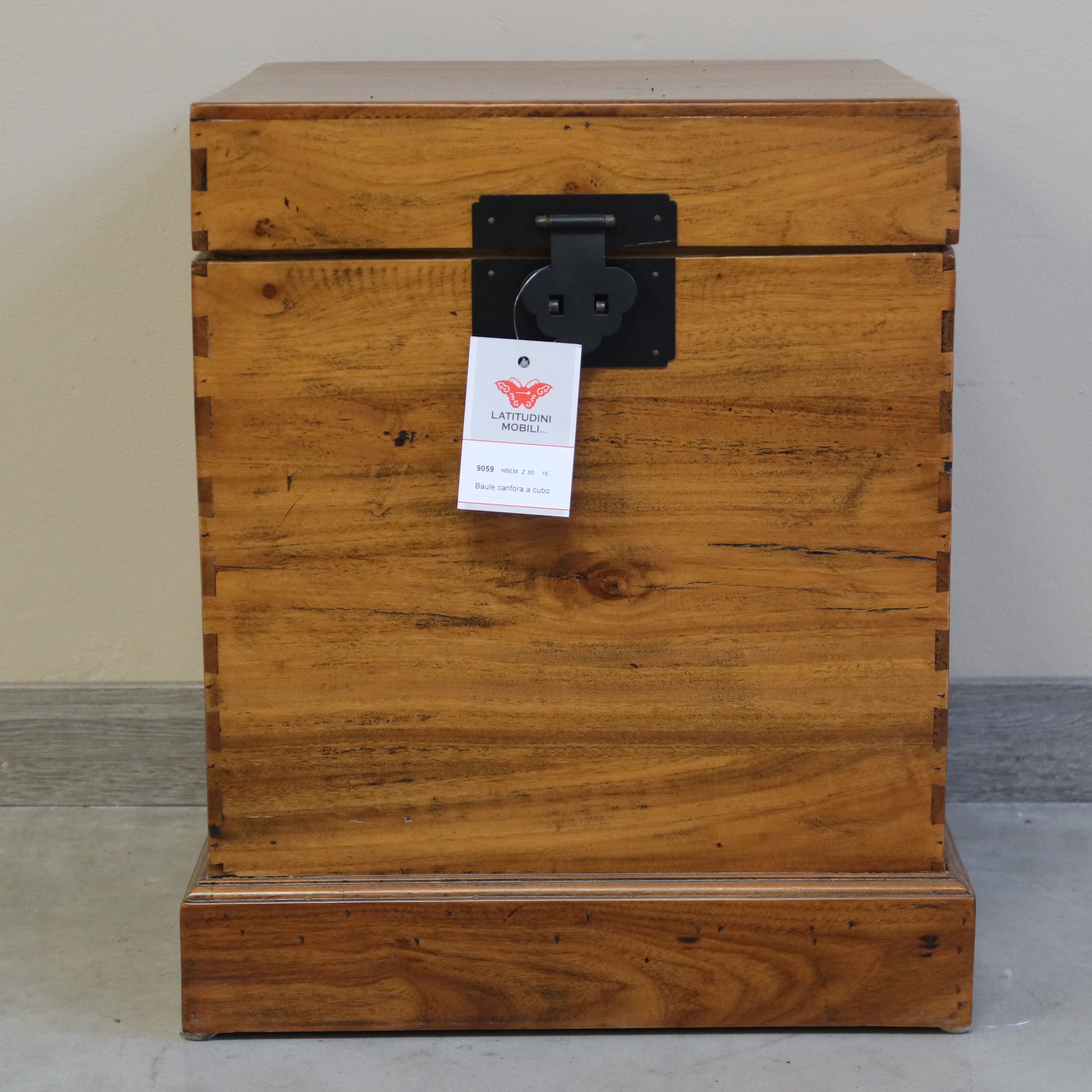 BAULE CUBICO OLMO CINESE