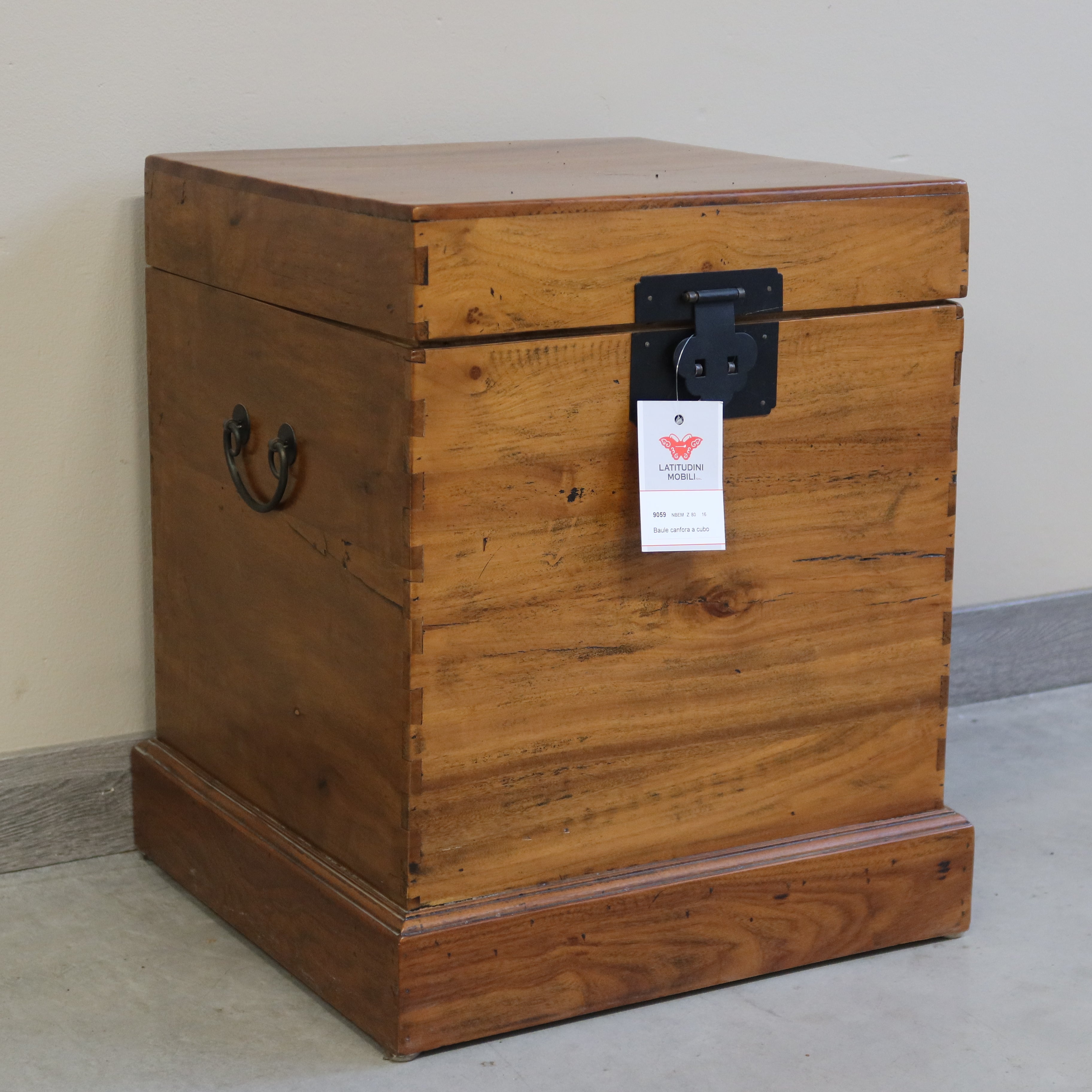 BAULE CUBICO OLMO CINESE