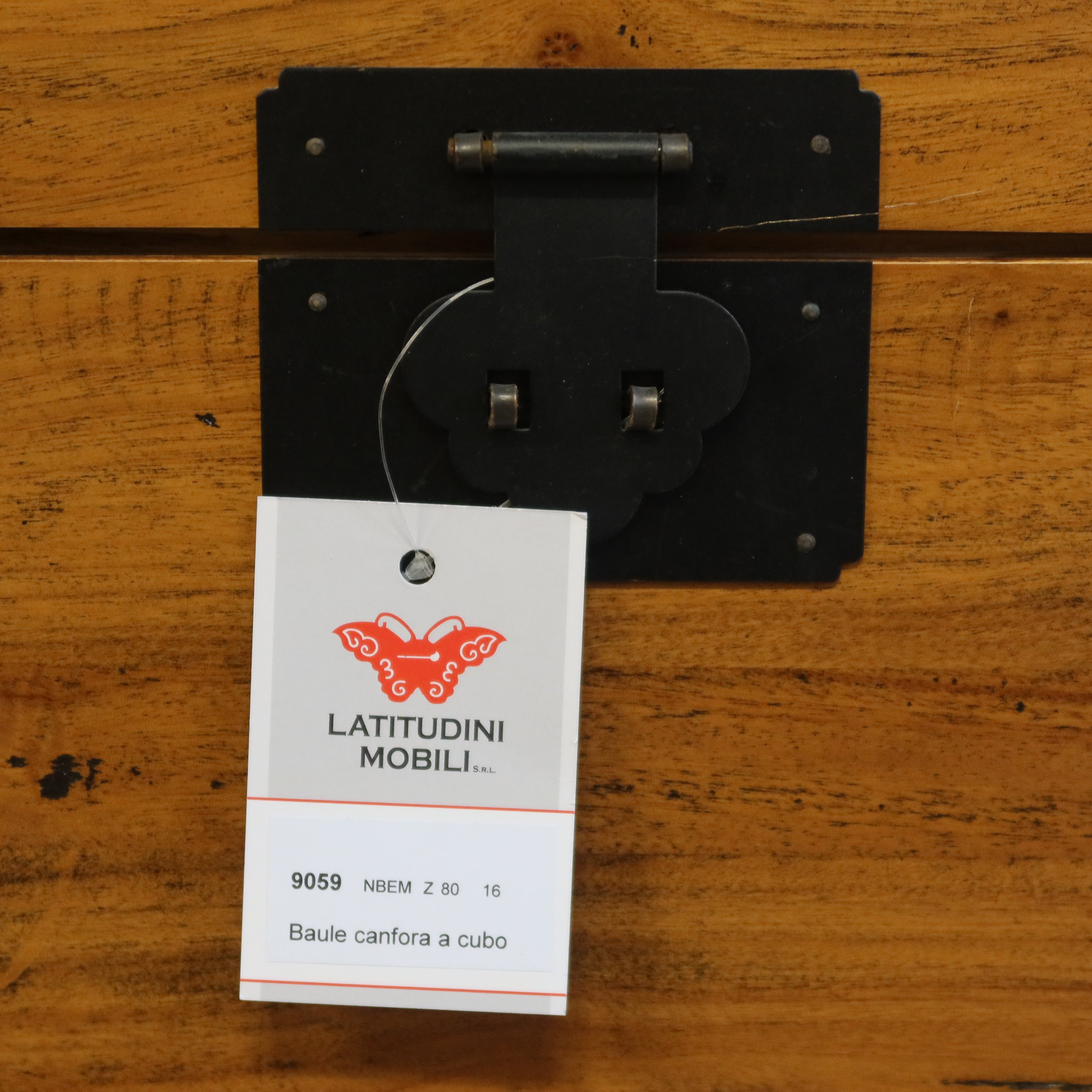 BAULE CUBICO OLMO CINESE