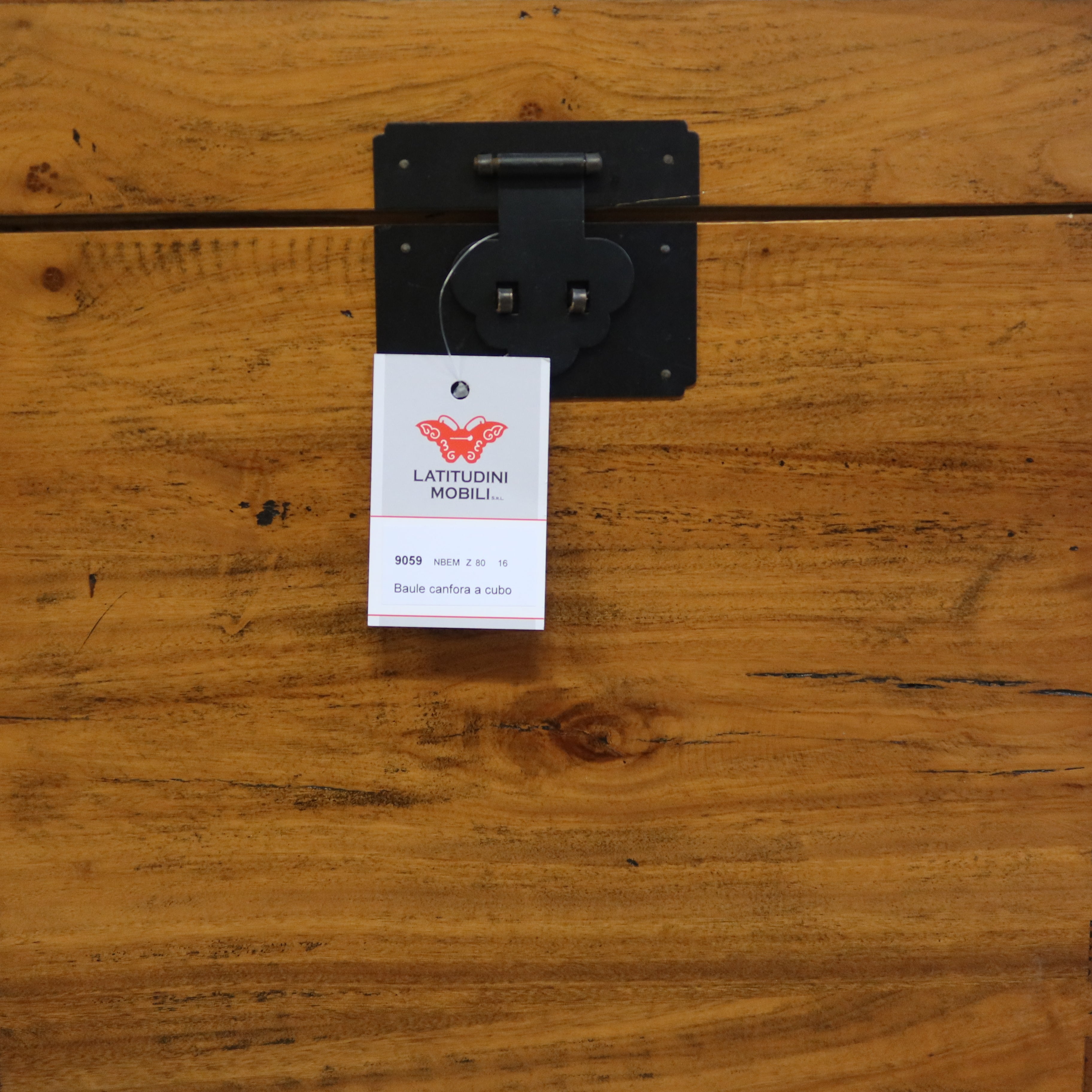 BAULE CUBICO OLMO CINESE