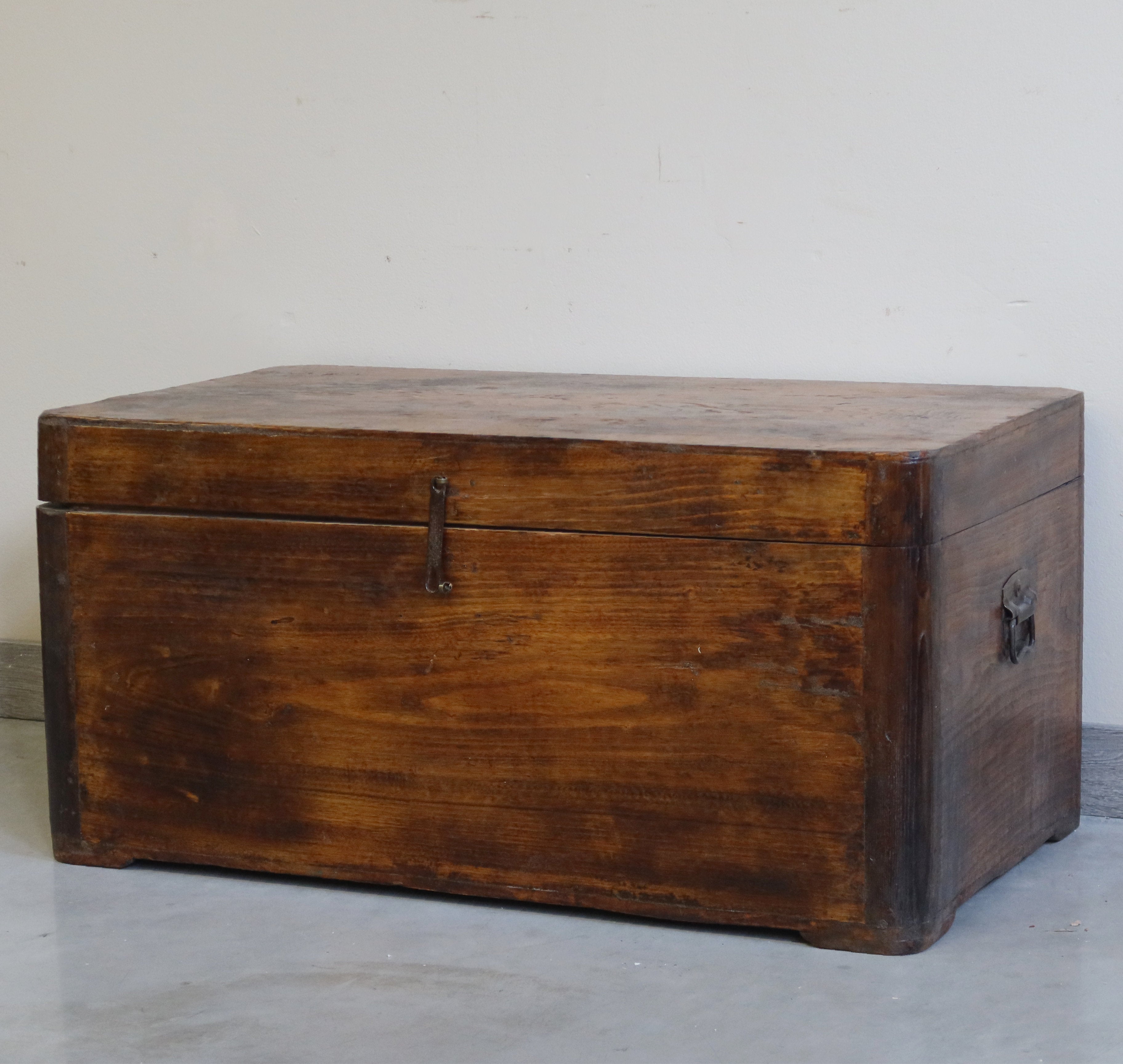 BAULE LEGNO DI CANFORA