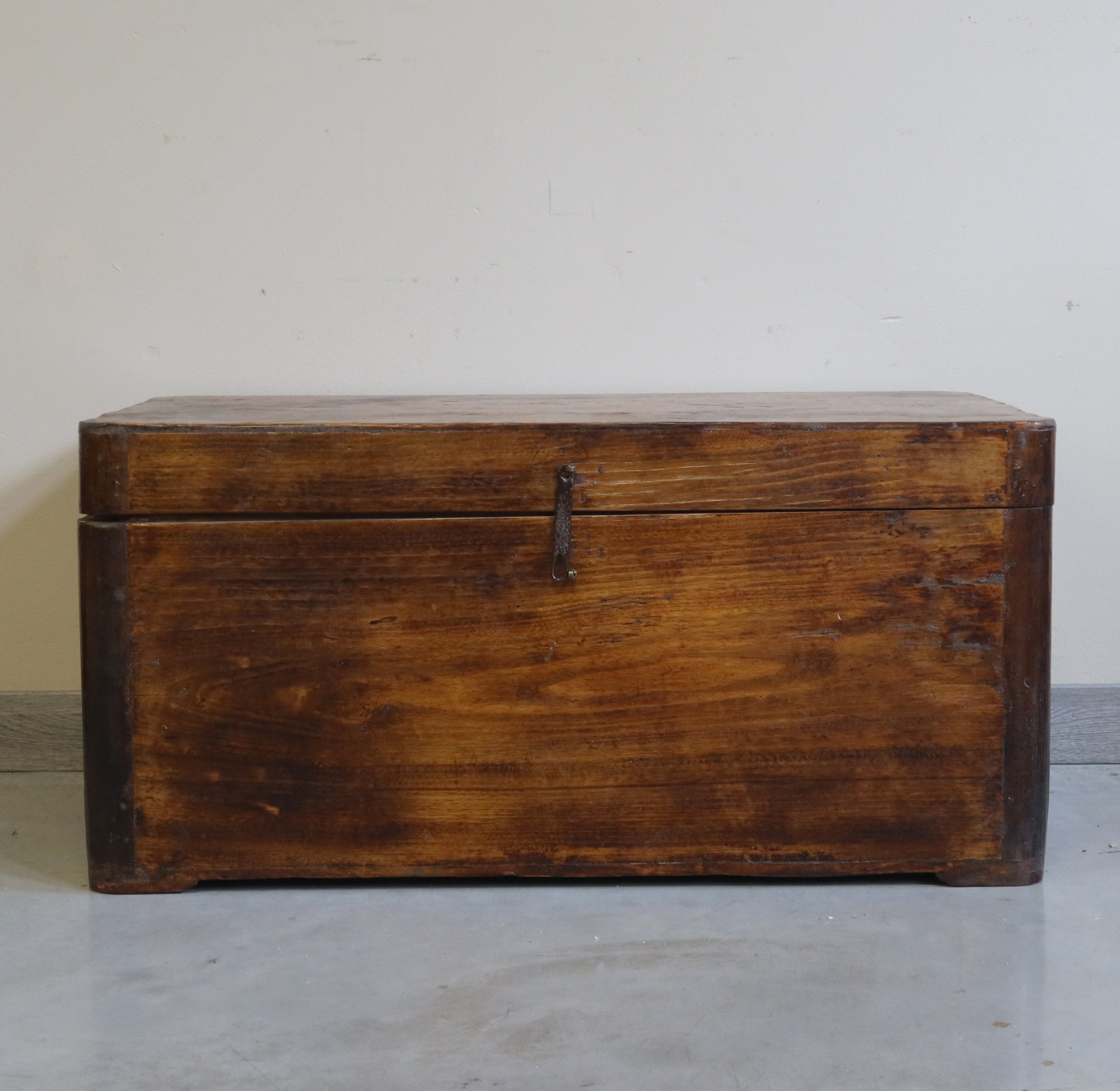 BAULE LEGNO DI CANFORA