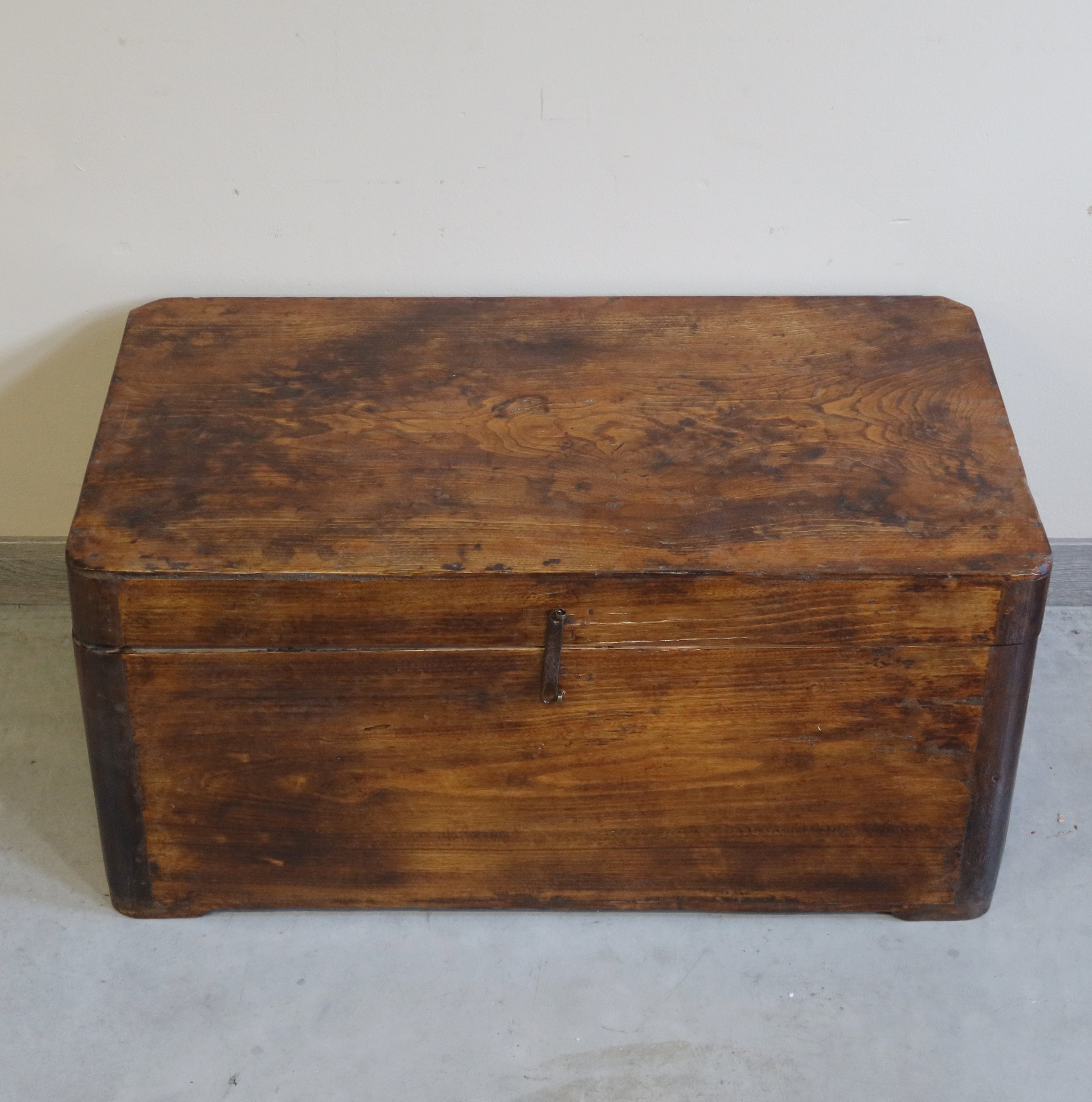 BAULE LEGNO DI CANFORA