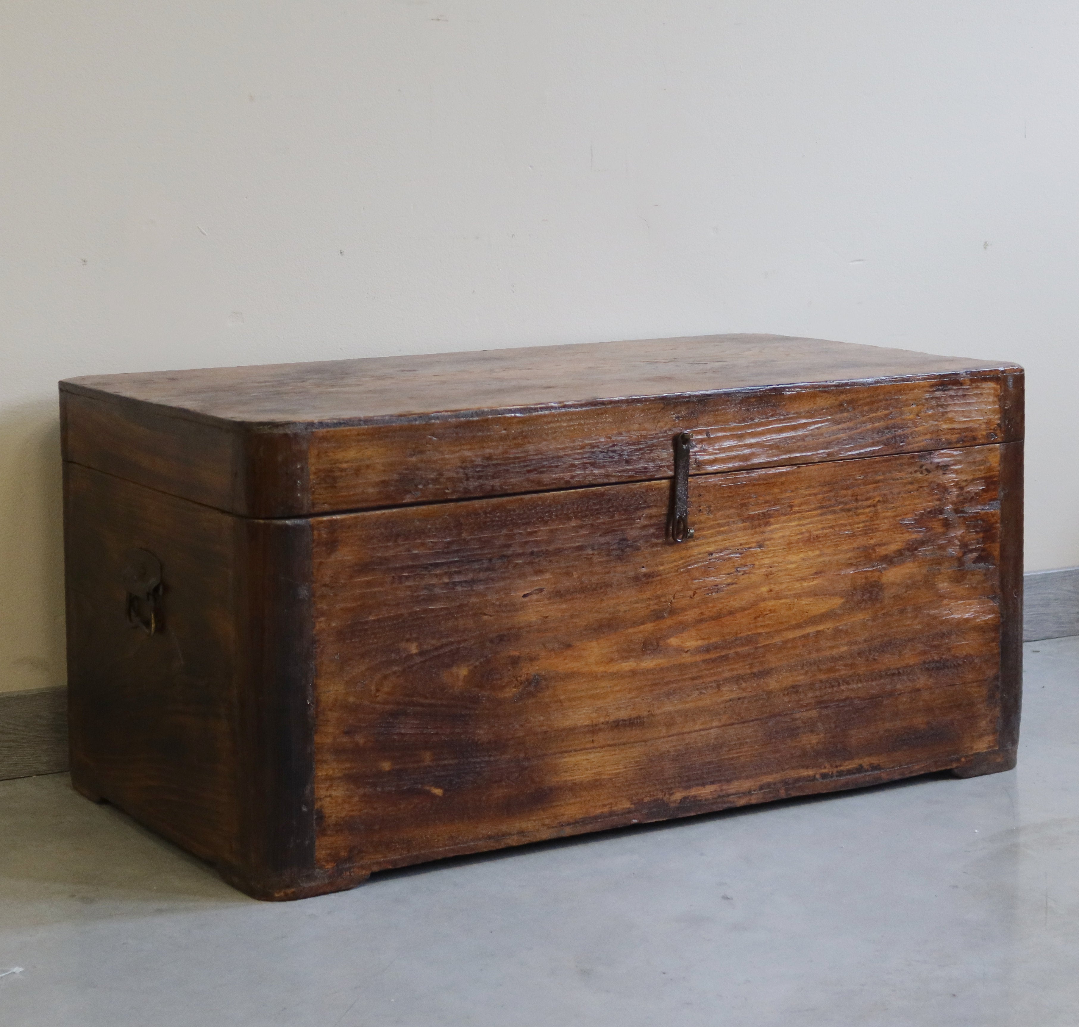BAULE LEGNO DI CANFORA