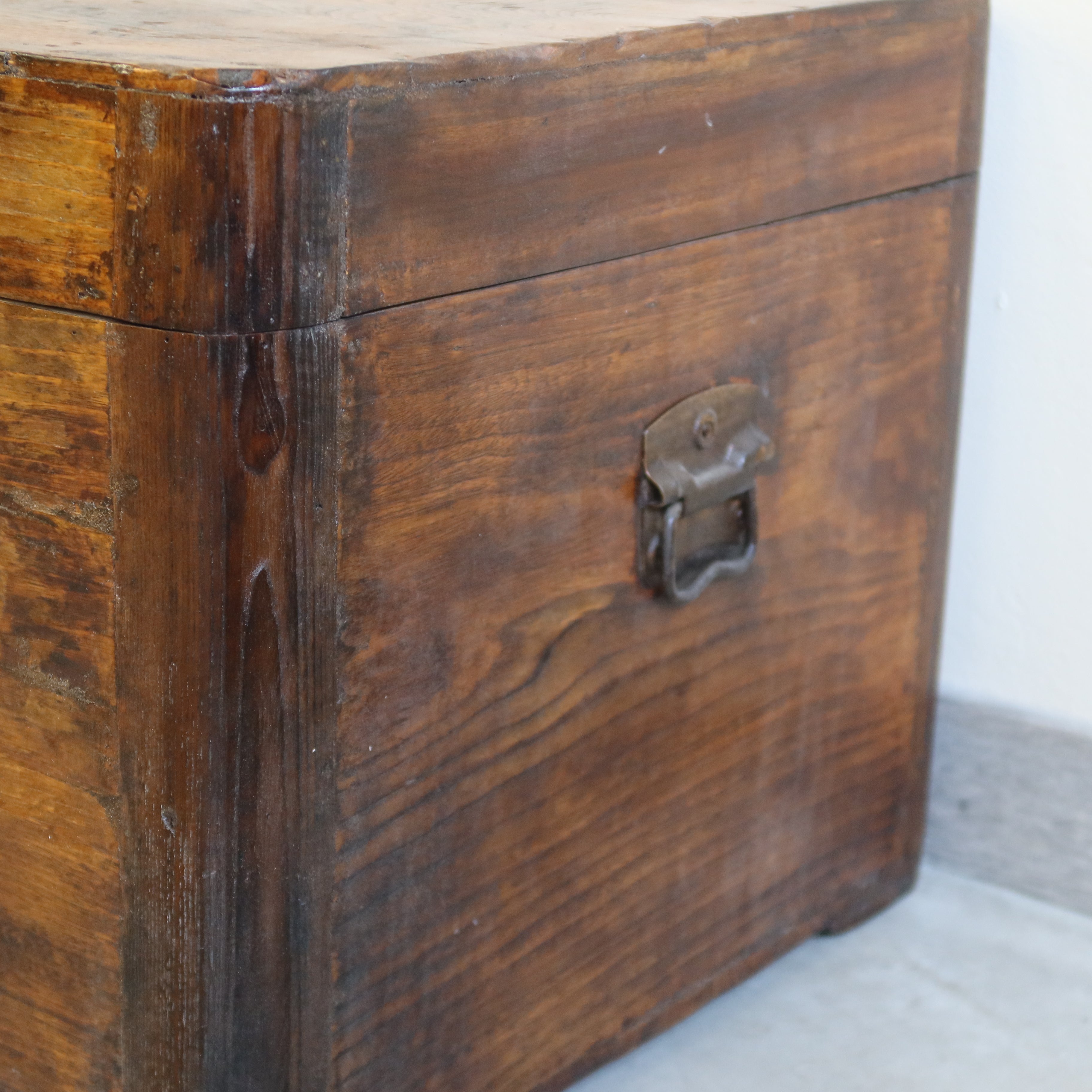 BAULE LEGNO DI CANFORA