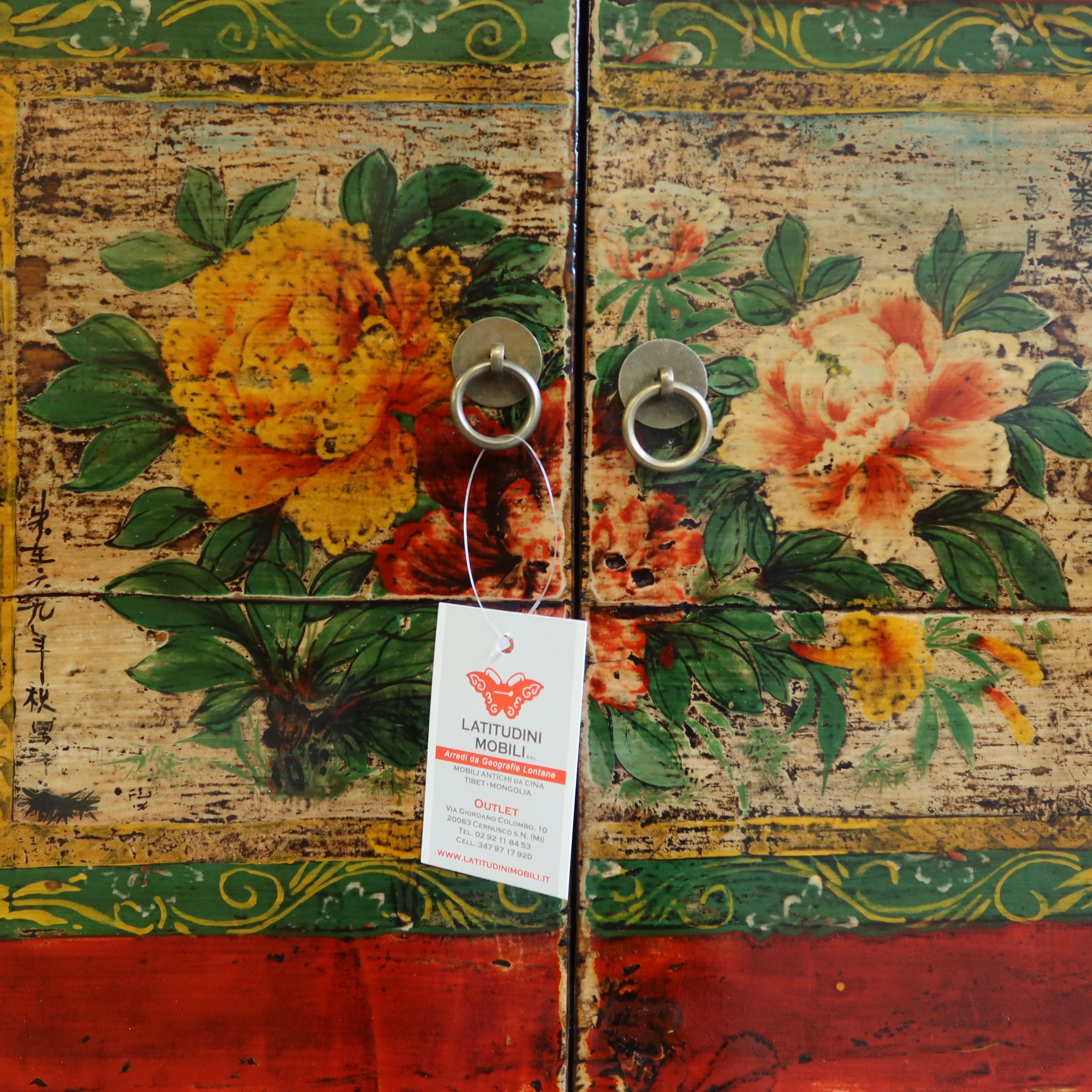 MADIA MONGOLIA DECORATA