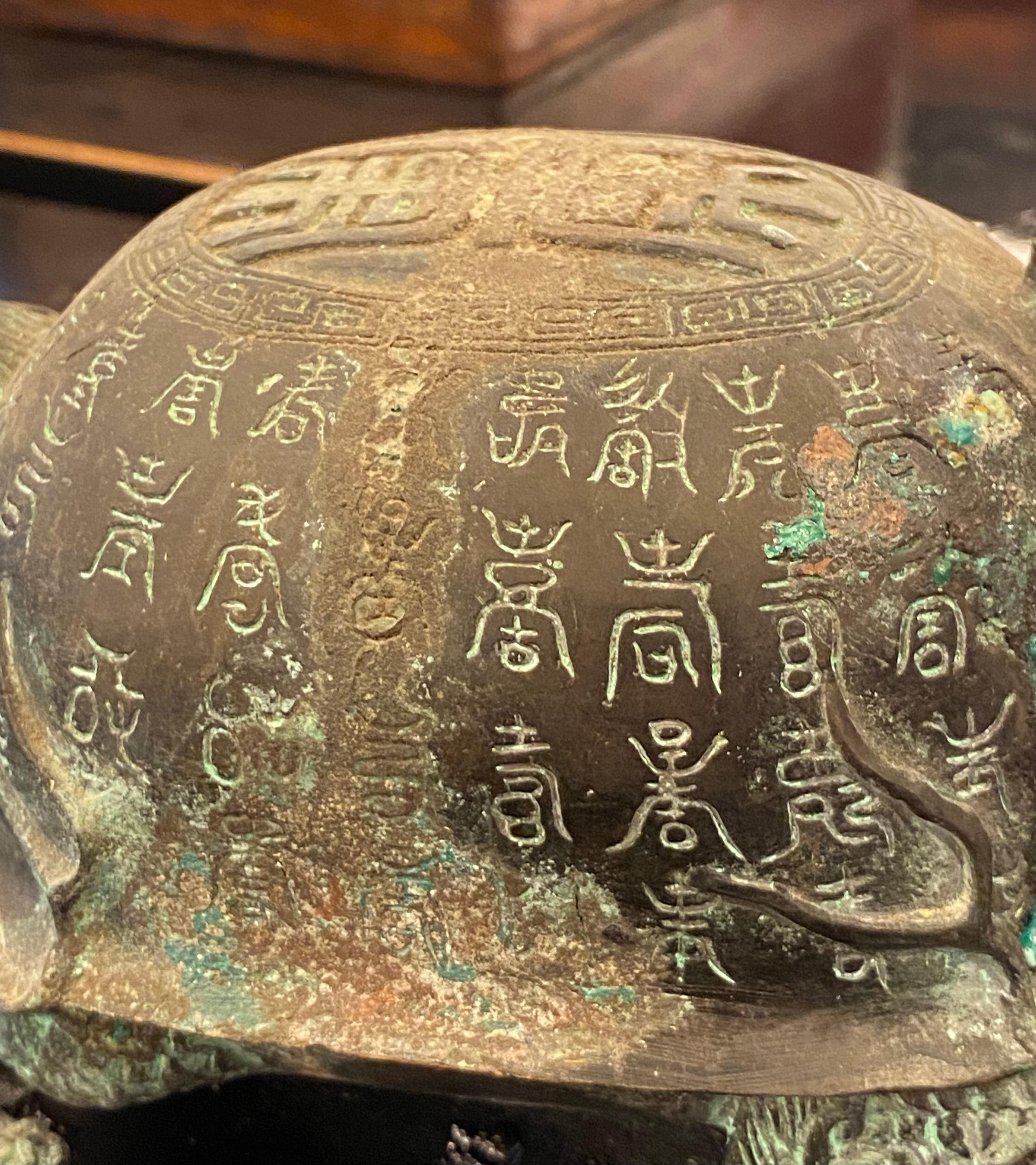 TARTARUGA "BIXI" IN LEGA