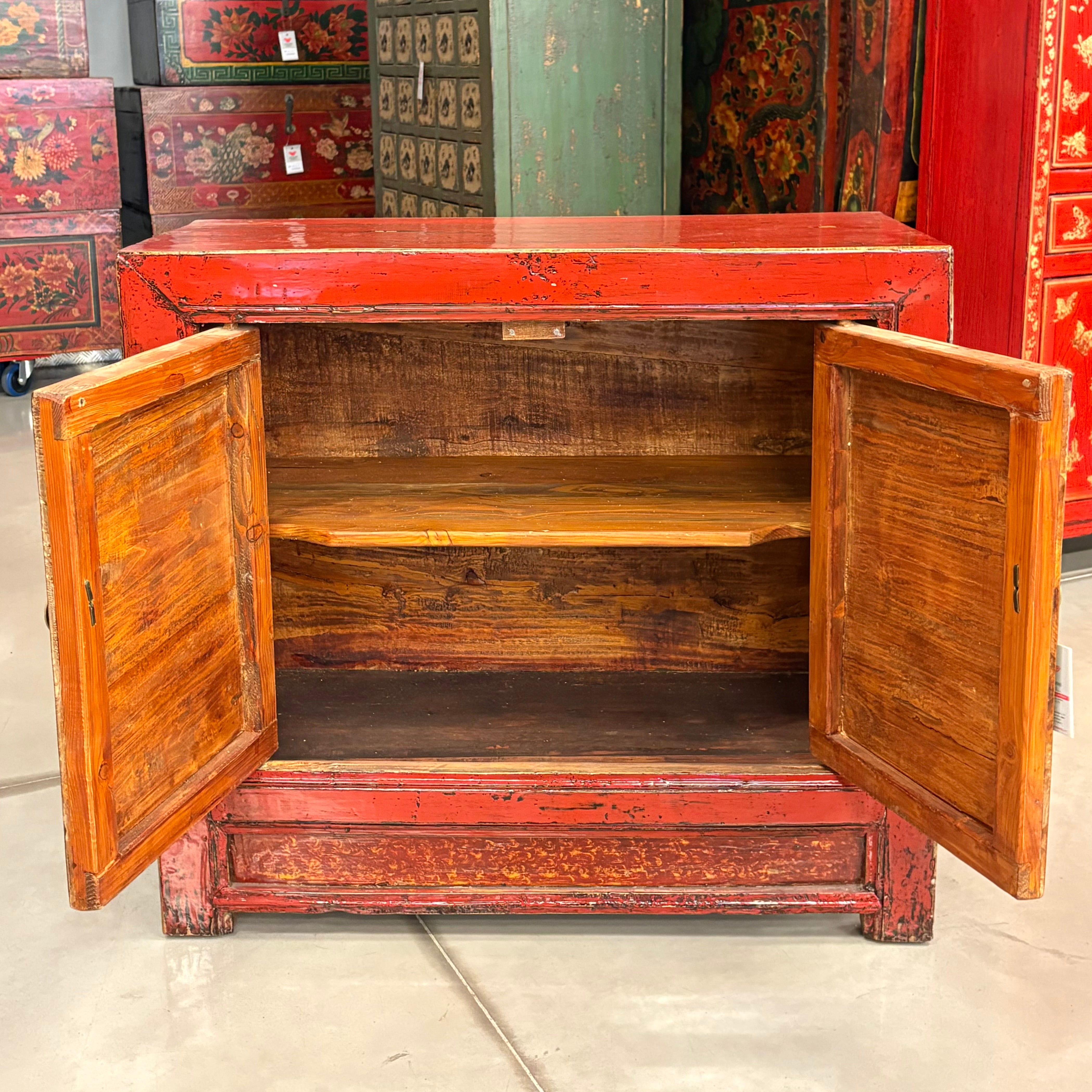 MADIETTA MONGOLIA DECORATA