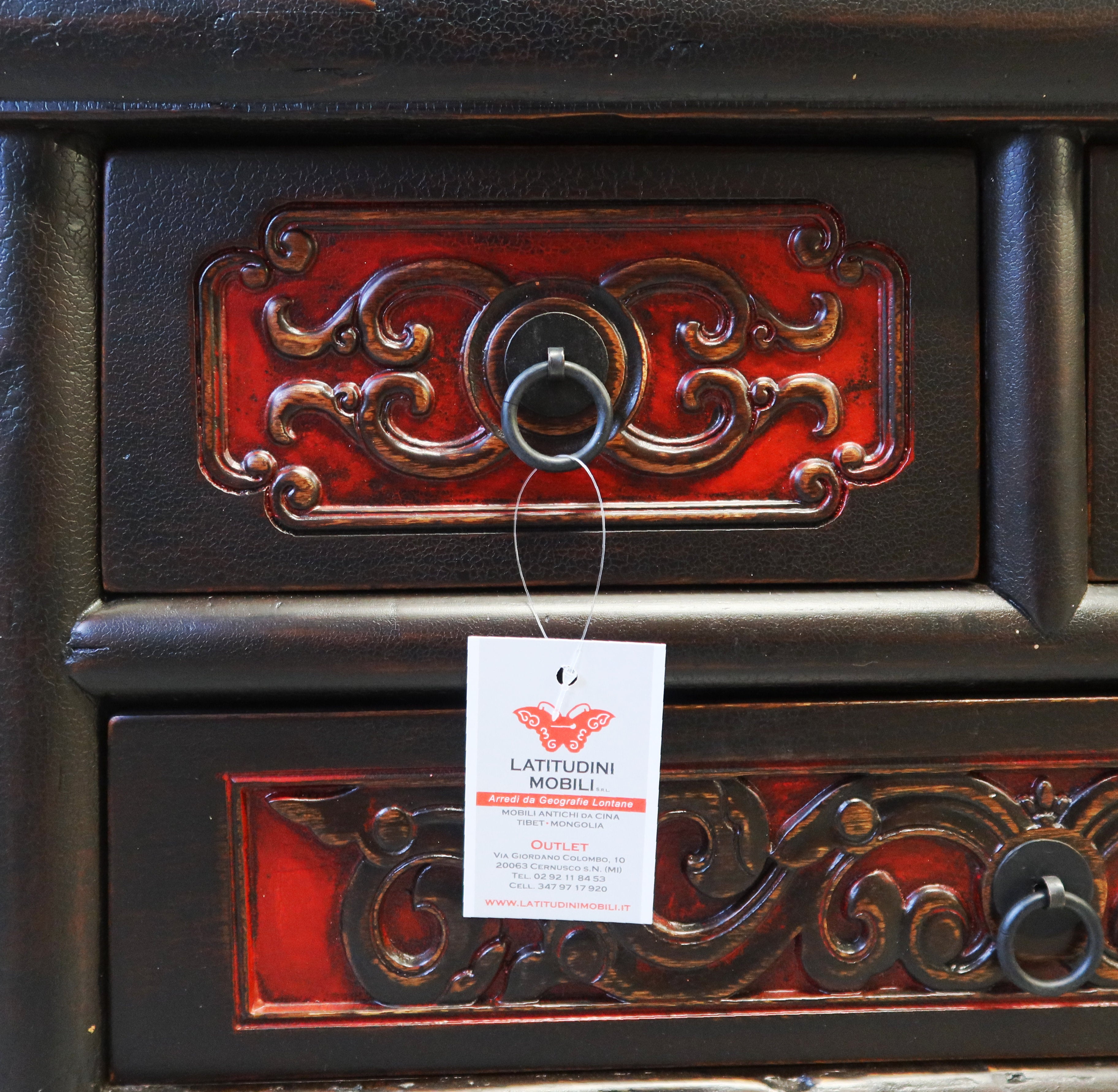 CASSAPANCHINA OLMO CINESE TOP AGGETTANTE