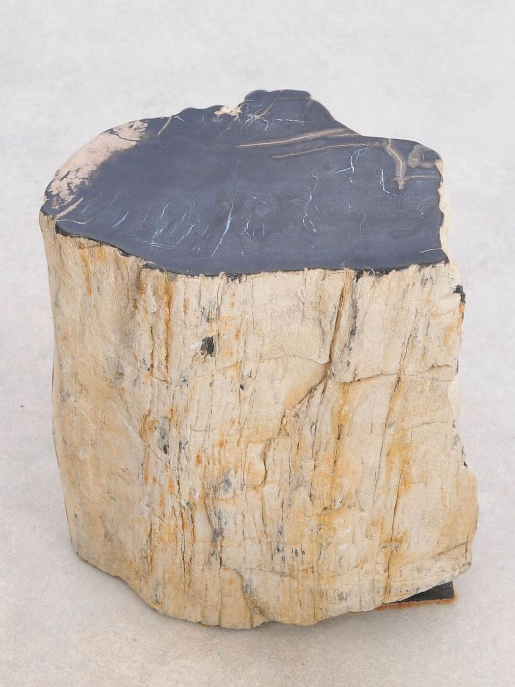 Tavolino tronco in legno pietrificato - 48191