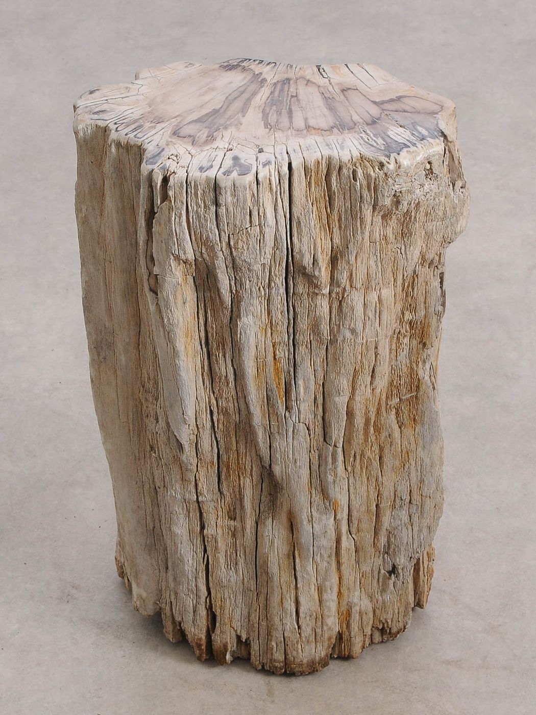 Tavolino tronco in legno pietrificato - 55001