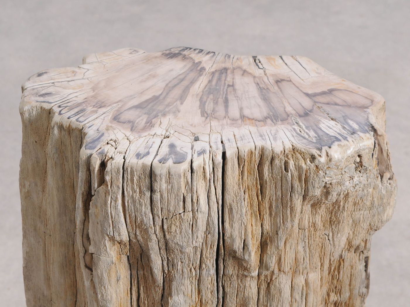 Tavolino tronco in legno pietrificato - 55001