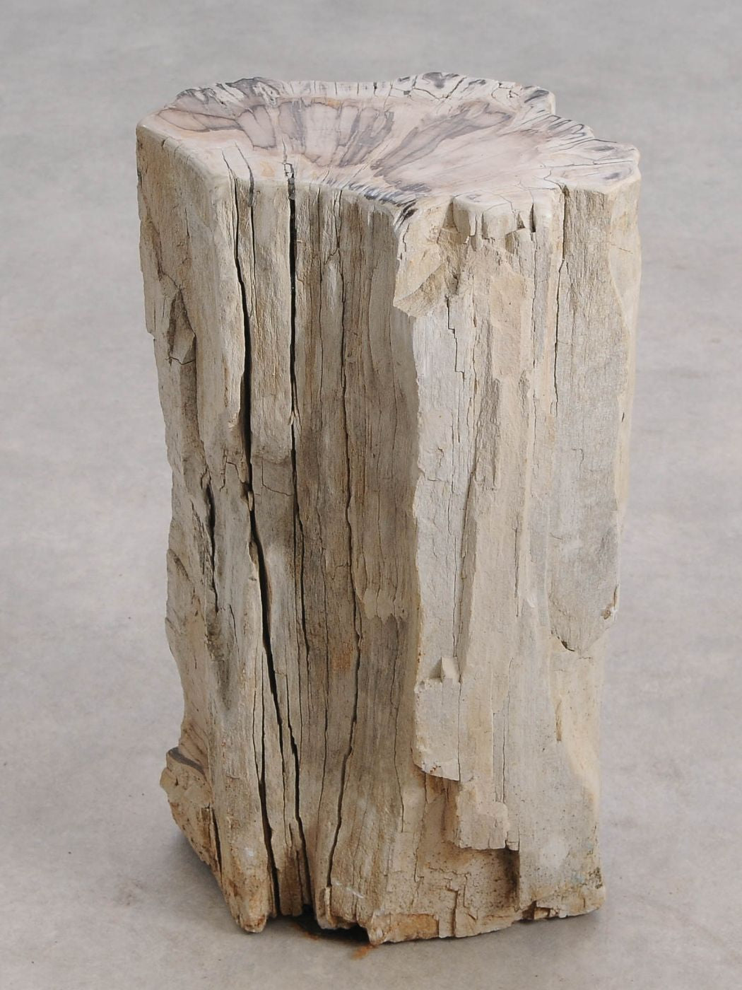 Tavolino tronco in legno pietrificato - 55001