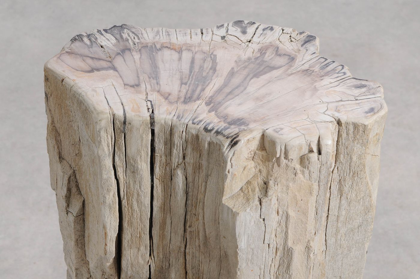 Tavolino tronco in legno pietrificato - 55001